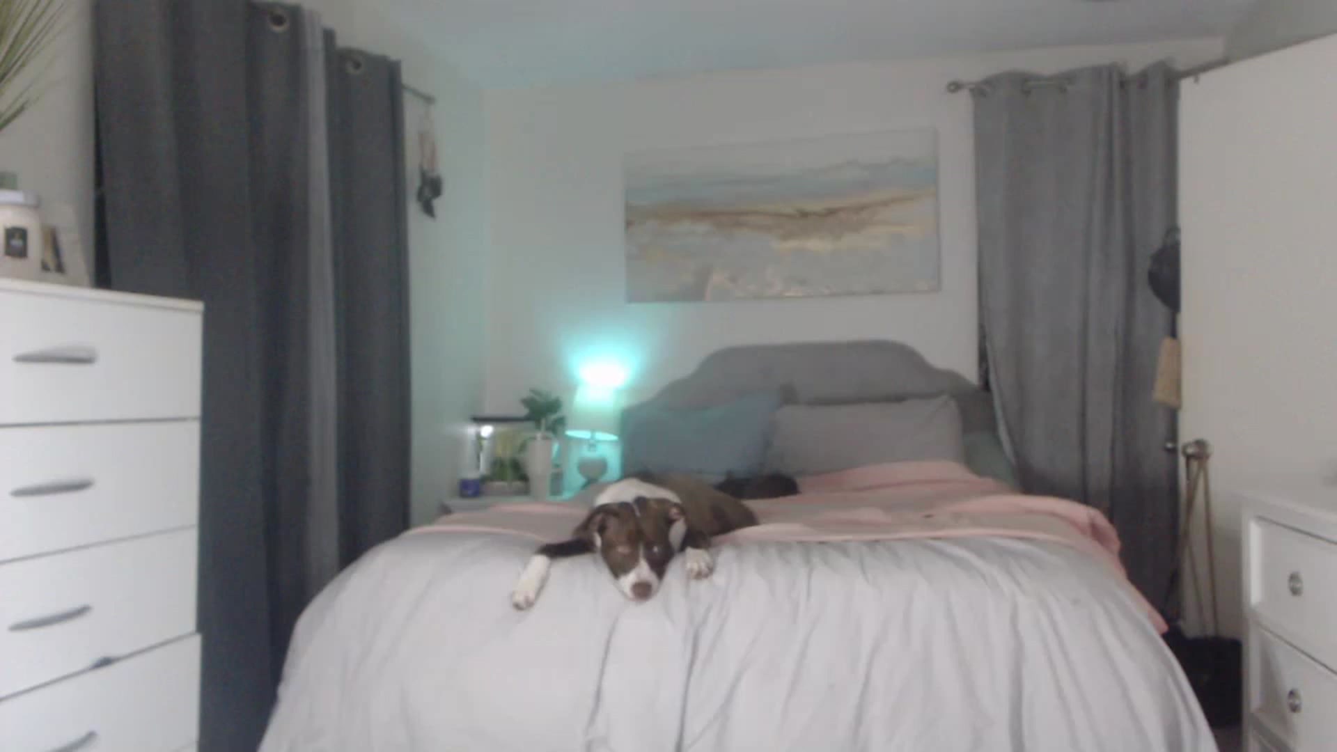 Gallery image thumbnail from Queen_bambii's myfreecams stream on, 02/11/2023, 09:38 image 9 of 20