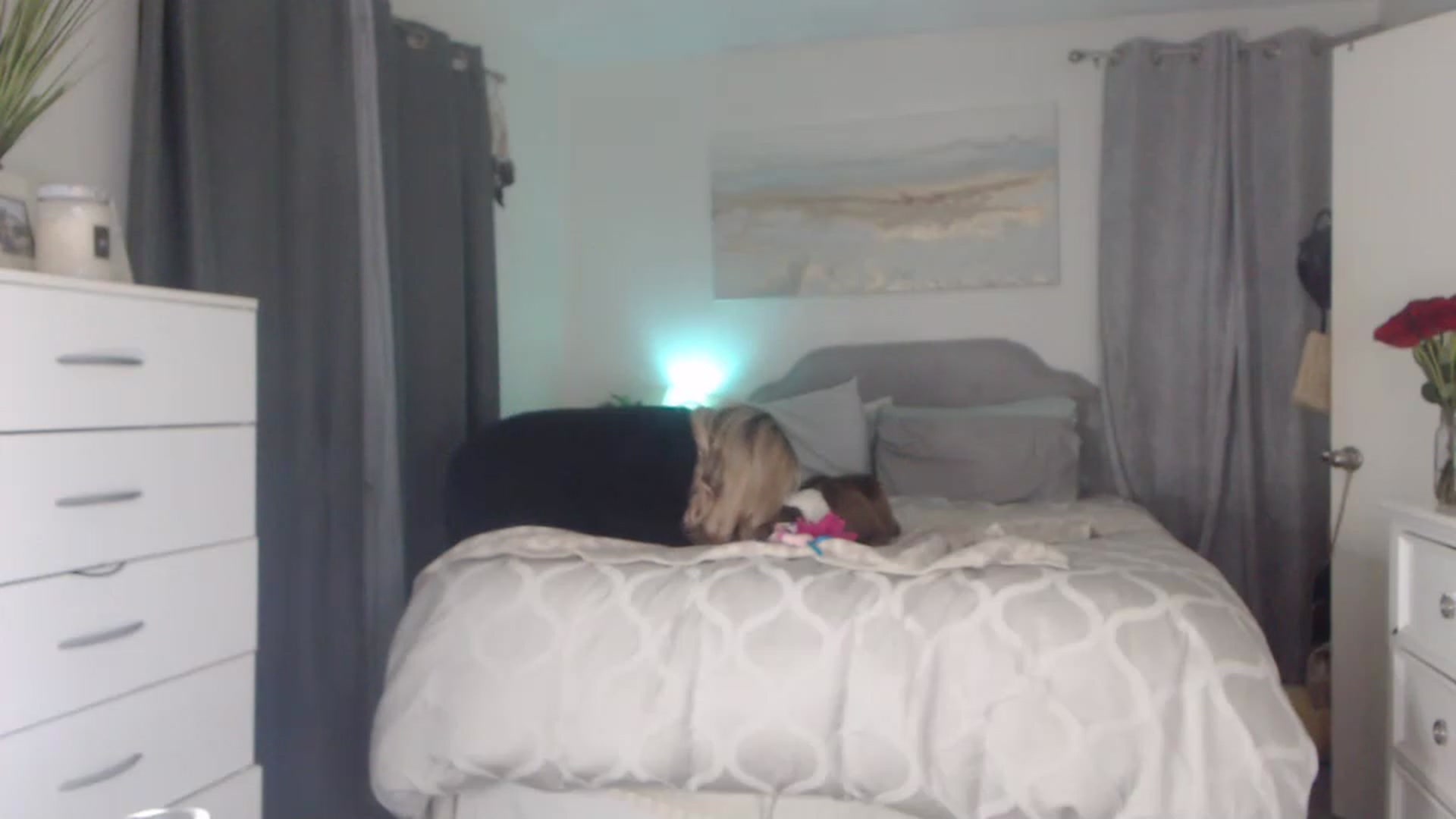 Gallery image thumbnail from Queen_bambii's myfreecams stream on, 02/17/2023, 10:46 image 14 of 20