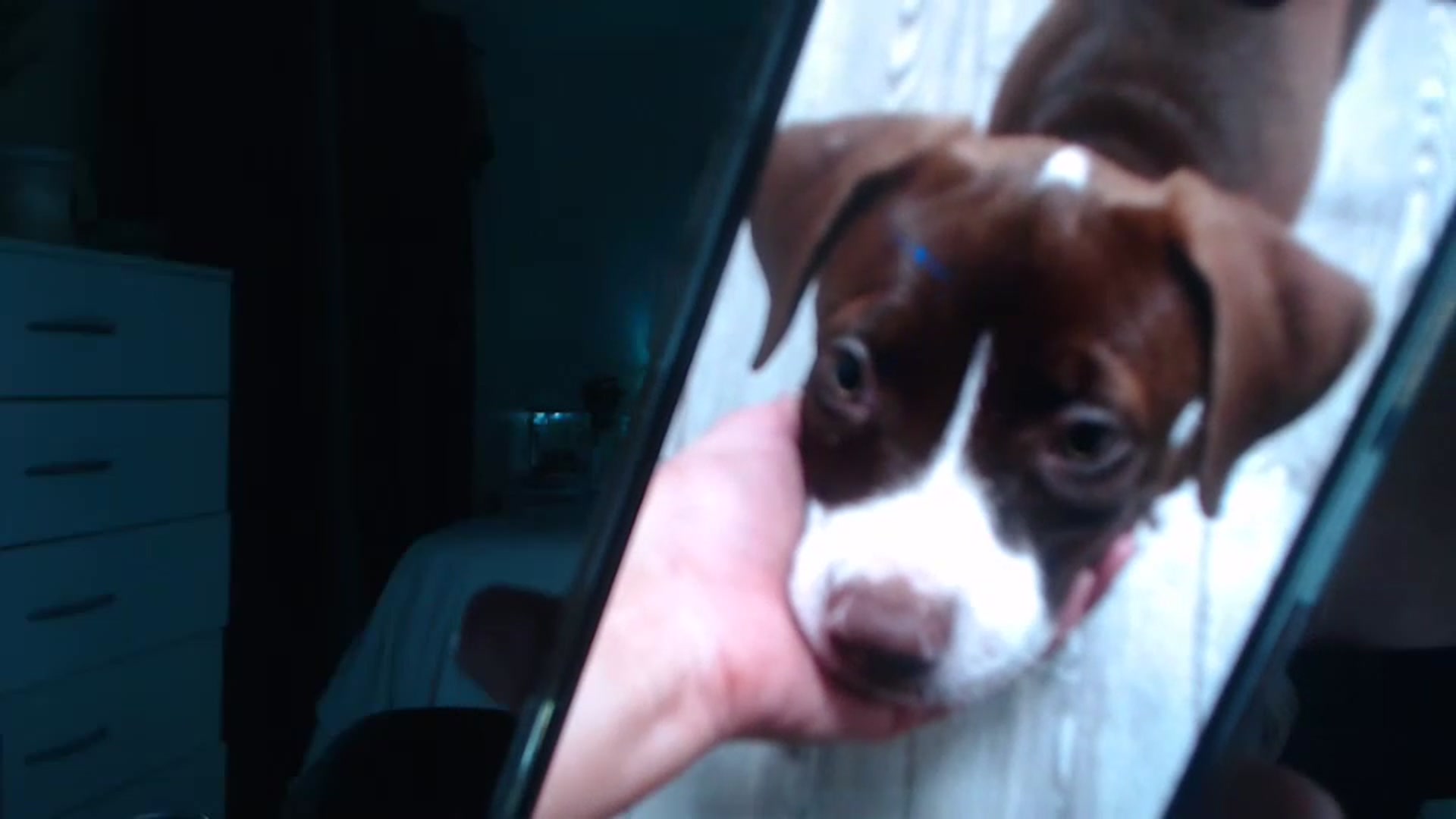 Gallery image thumbnail from Queen_bambii's myfreecams stream on, 02/24/2023, 09:25 image 9 of 20