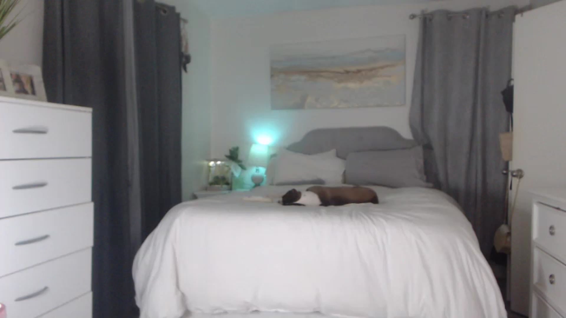 Gallery image thumbnail from Queen_bambii's myfreecams stream on, 03/08/2023, 08:48 image 4 of 20