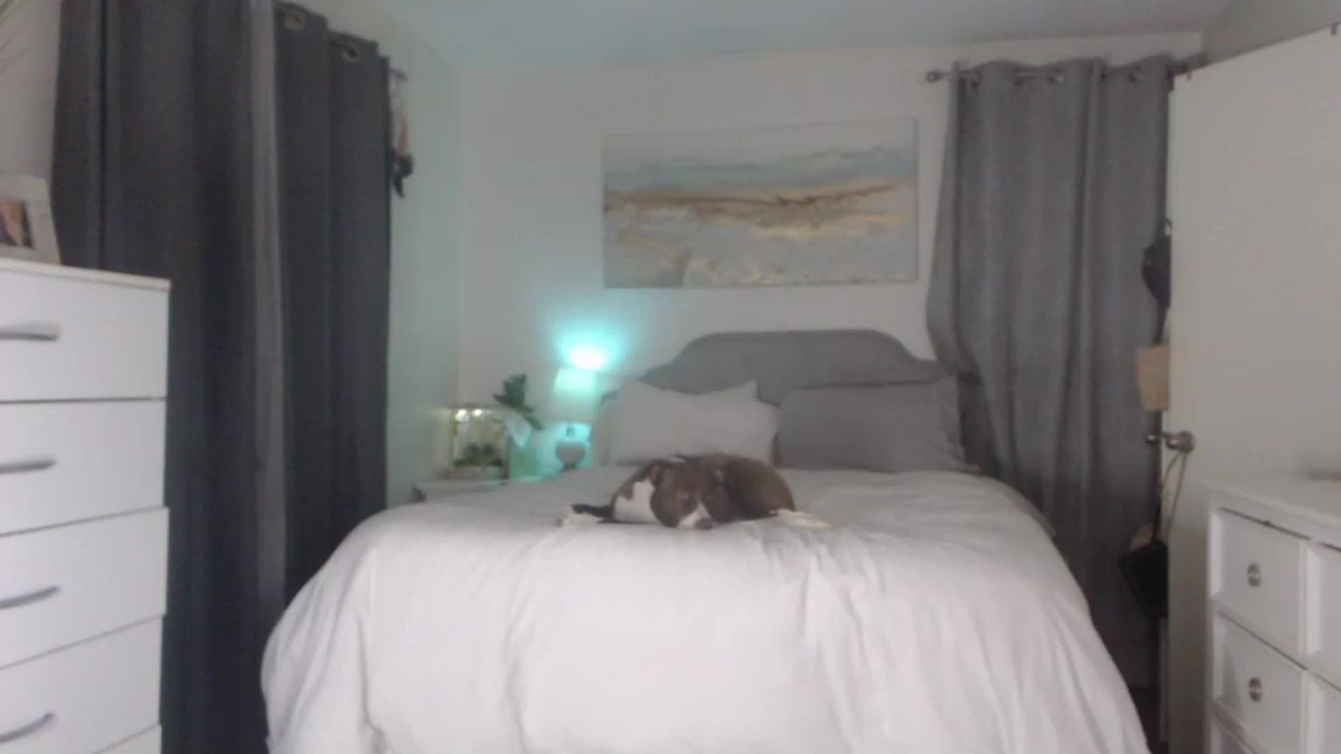 Gallery image thumbnail from Queen_bambii's myfreecams stream on, 03/08/2023, 08:48 image 13 of 20