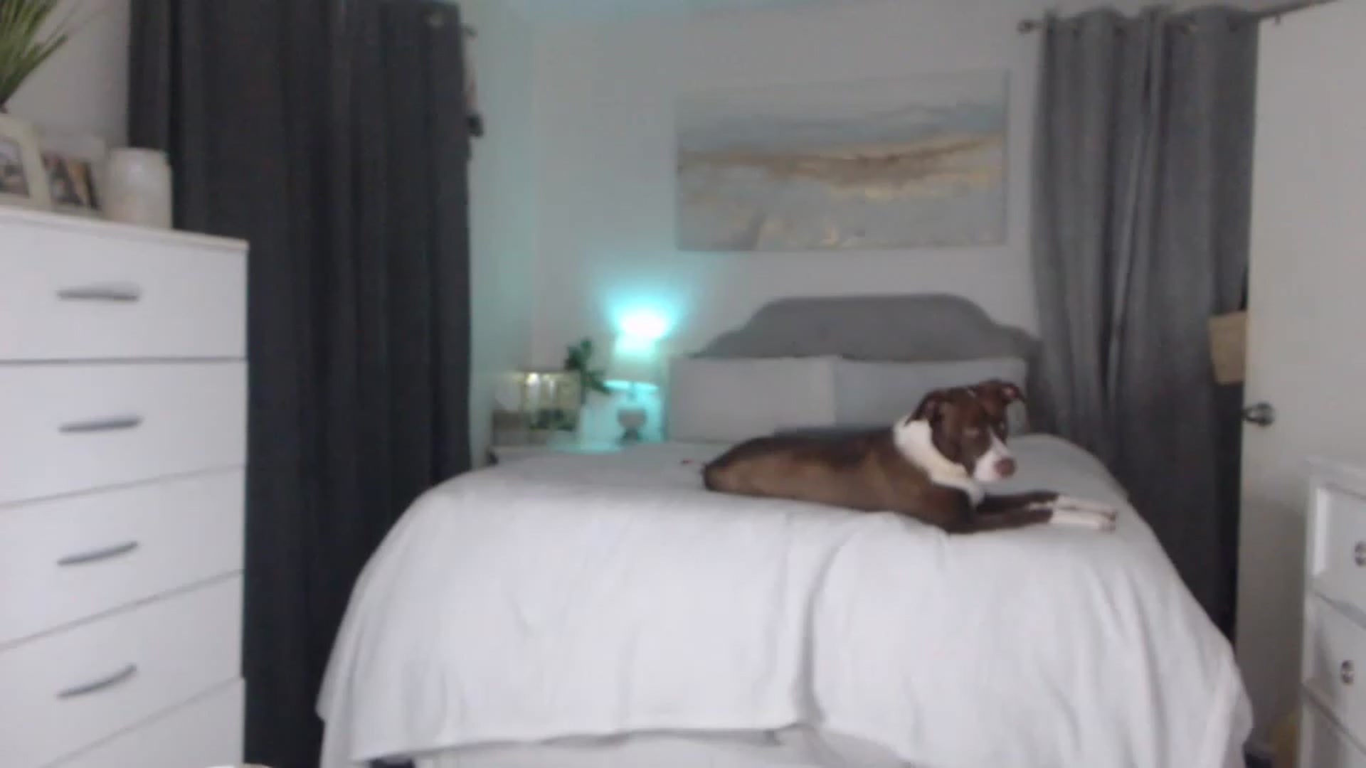 Gallery image thumbnail from Queen_bambii's myfreecams stream on, 03/16/2023, 07:50 image 5 of 20