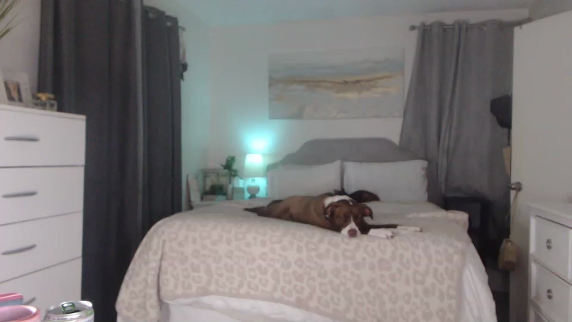 Gallery image thumbnail from Queen_bambii's myfreecams stream on, 04/01/2023, 08:05 image 6 of 20