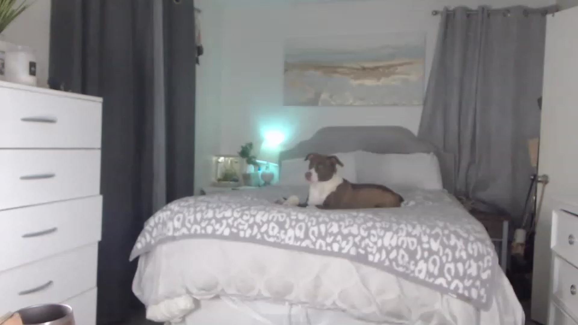 Gallery image thumbnail from Queen_bambii's myfreecams stream on, 04/14/2023, 05:41 image 1 of 20