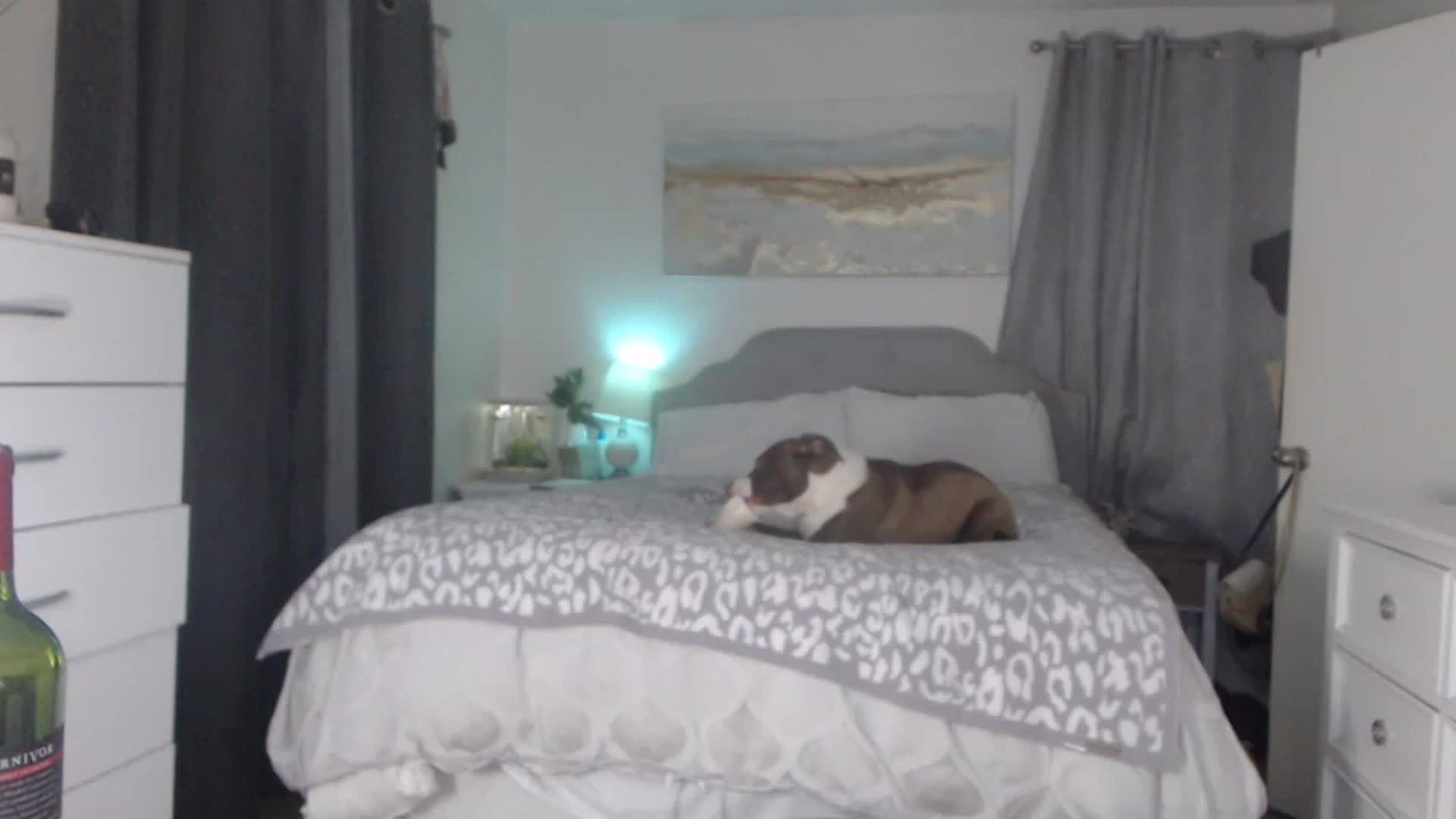 Gallery image thumbnail from Queen_bambii's myfreecams stream on, 04/14/2023, 07:07 image 10 of 20