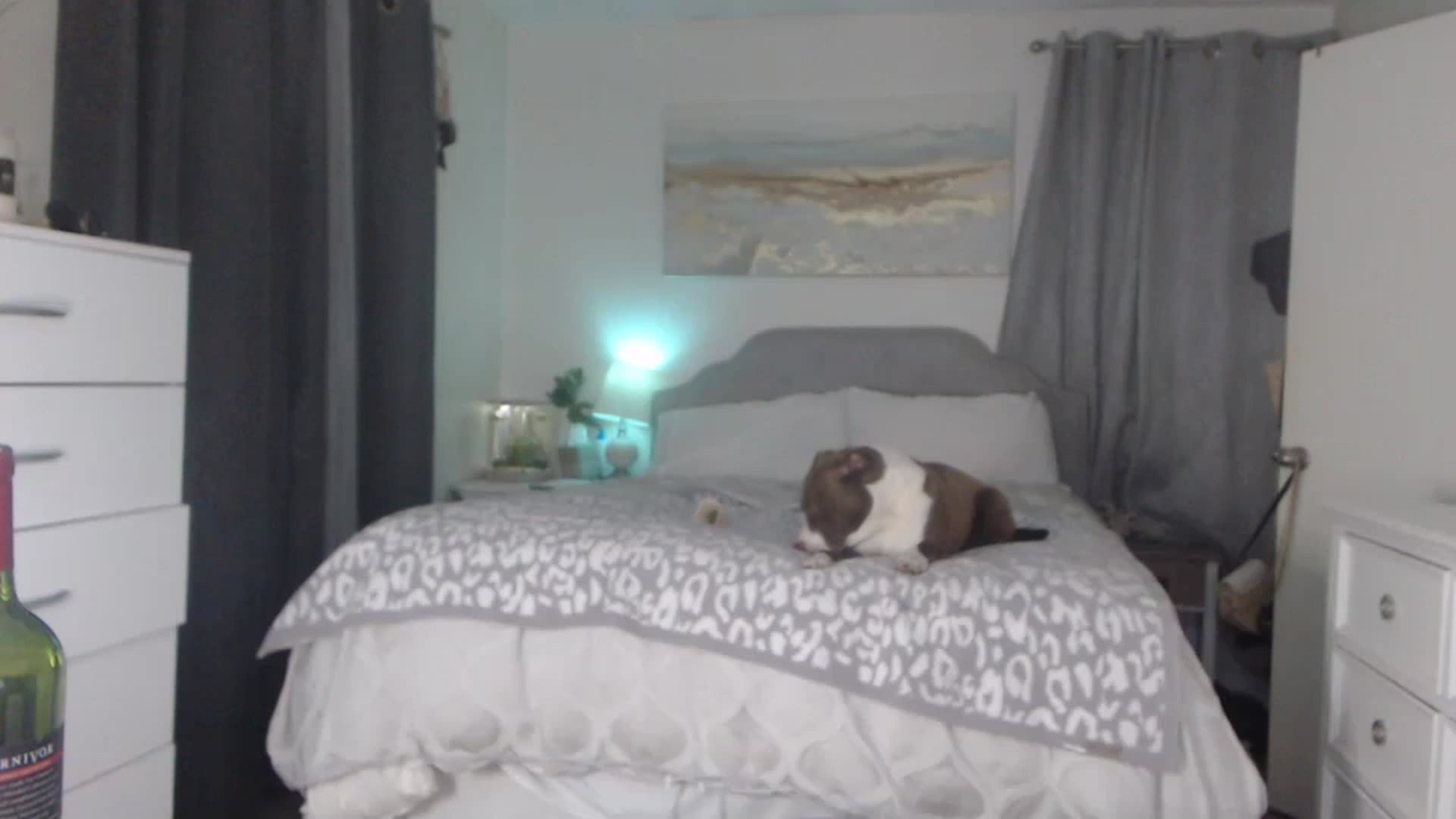 Gallery image thumbnail from Queen_bambii's myfreecams stream on, 04/14/2023, 07:07 image 9 of 20
