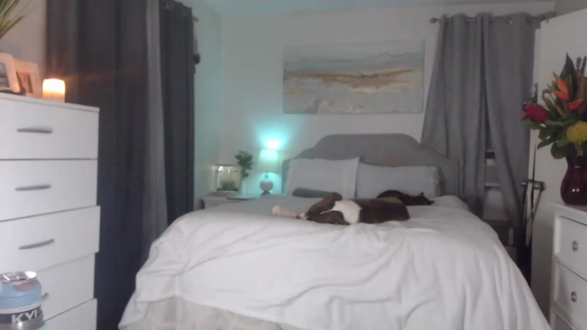 Gallery image thumbnail from Queen_bambii's myfreecams stream on, 04/21/2023, 06:48 image 15 of 20