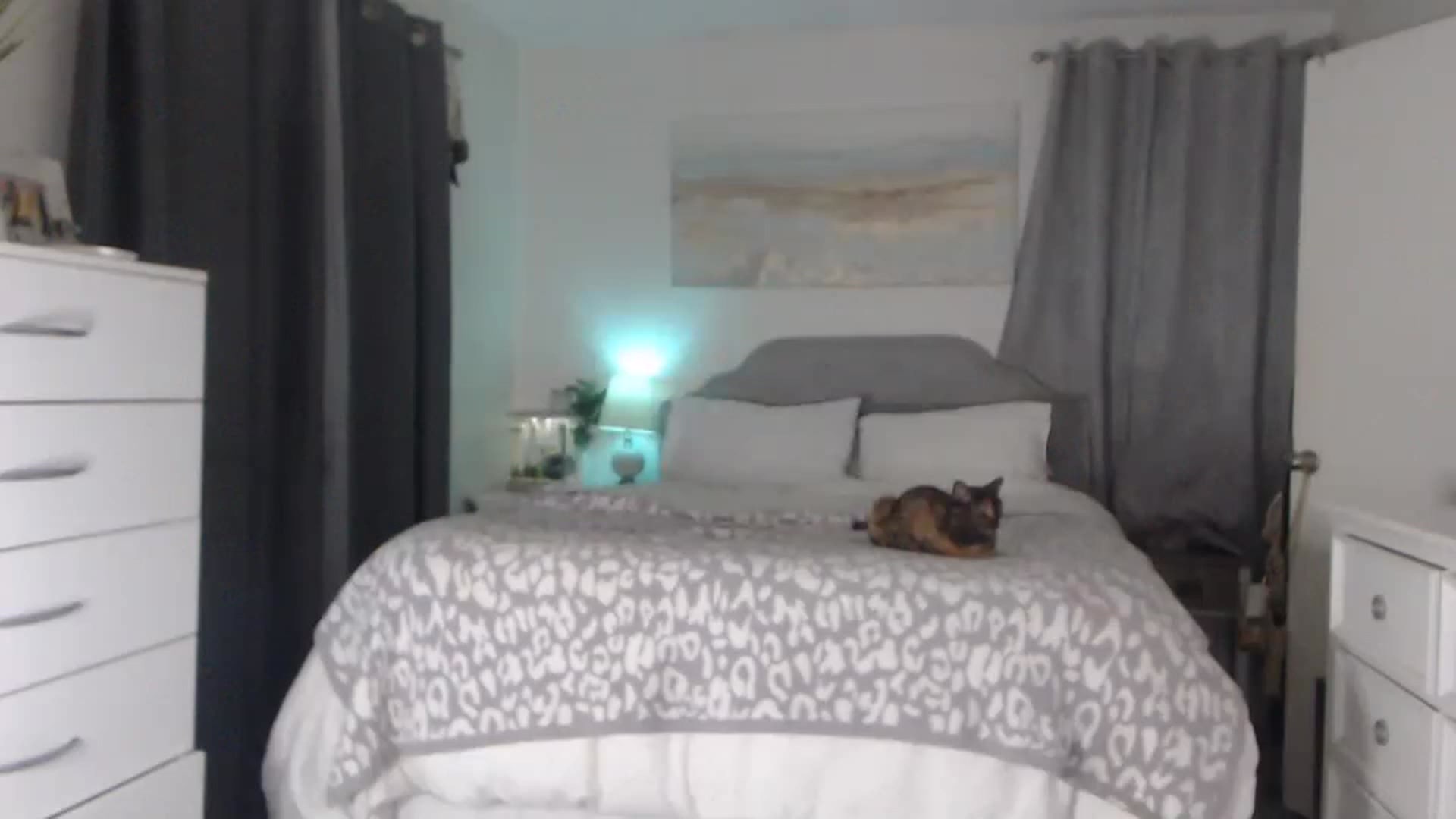 Gallery image thumbnail from Queen_bambii's myfreecams stream on, 05/16/2023, 06:53 image 8 of 20