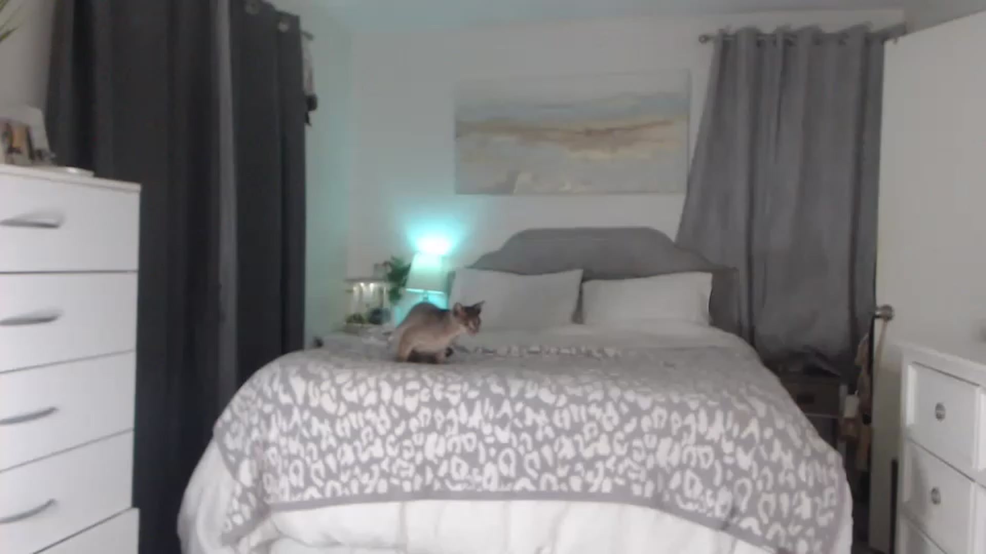 Gallery image thumbnail from Queen_bambii's myfreecams stream on, 05/16/2023, 06:53 image 1 of 20