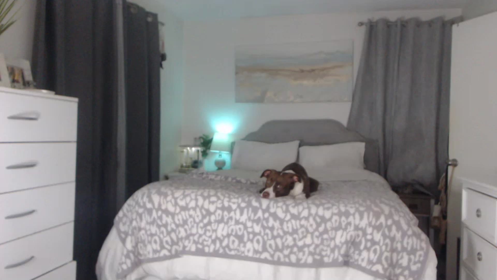 Gallery image thumbnail from Queen_bambii's myfreecams stream on, 05/16/2023, 07:59 image 9 of 20