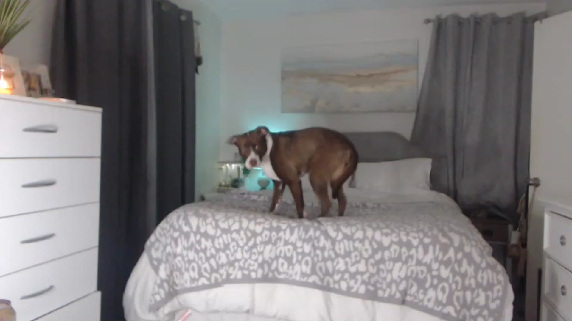 Gallery image thumbnail from Queen_bambii's myfreecams stream on, 05/16/2023, 09:06 image 5 of 20