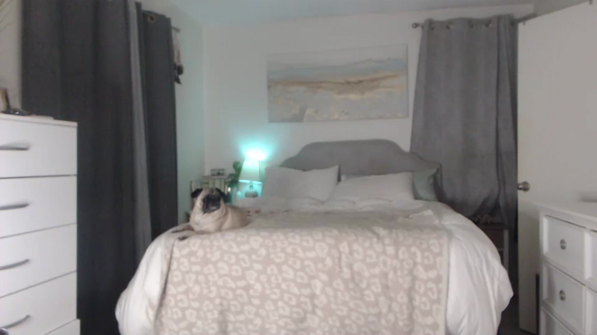Gallery image thumbnail from Queen_bambii's myfreecams stream on, 06/17/2023, 05:10 image 6 of 20