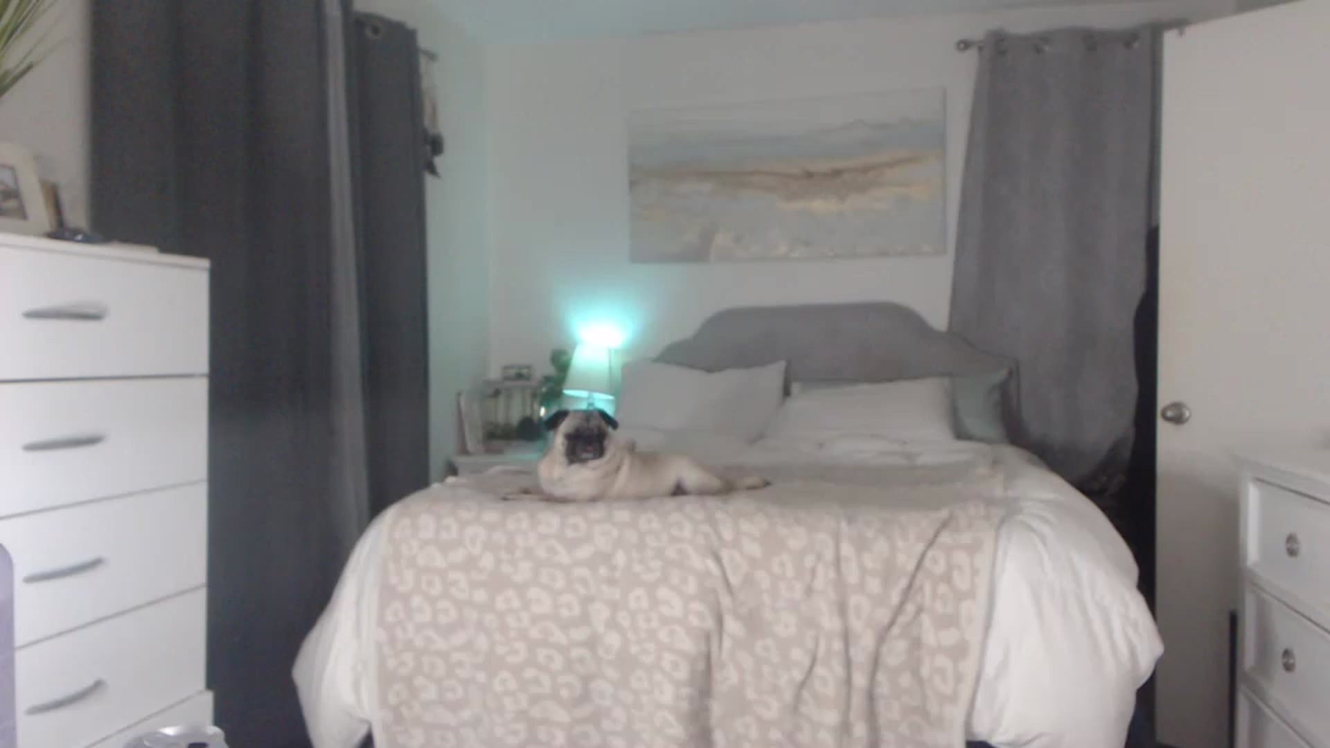 Gallery image thumbnail from Queen_bambii's myfreecams stream on, 06/17/2023, 06:25 image 17 of 20