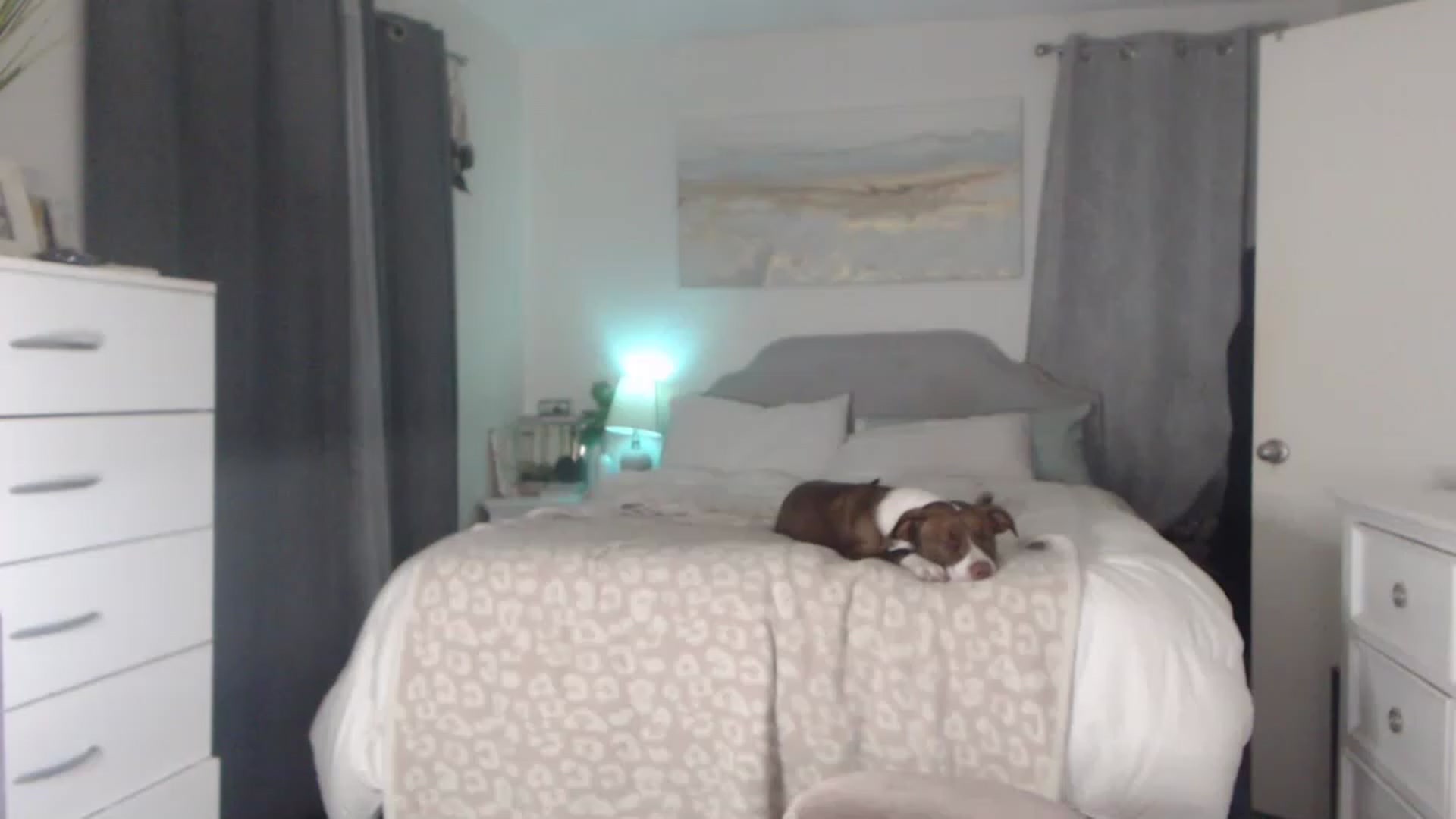 Gallery image thumbnail from Queen_bambii's myfreecams stream on, 06/17/2023, 07:11 image 3 of 20