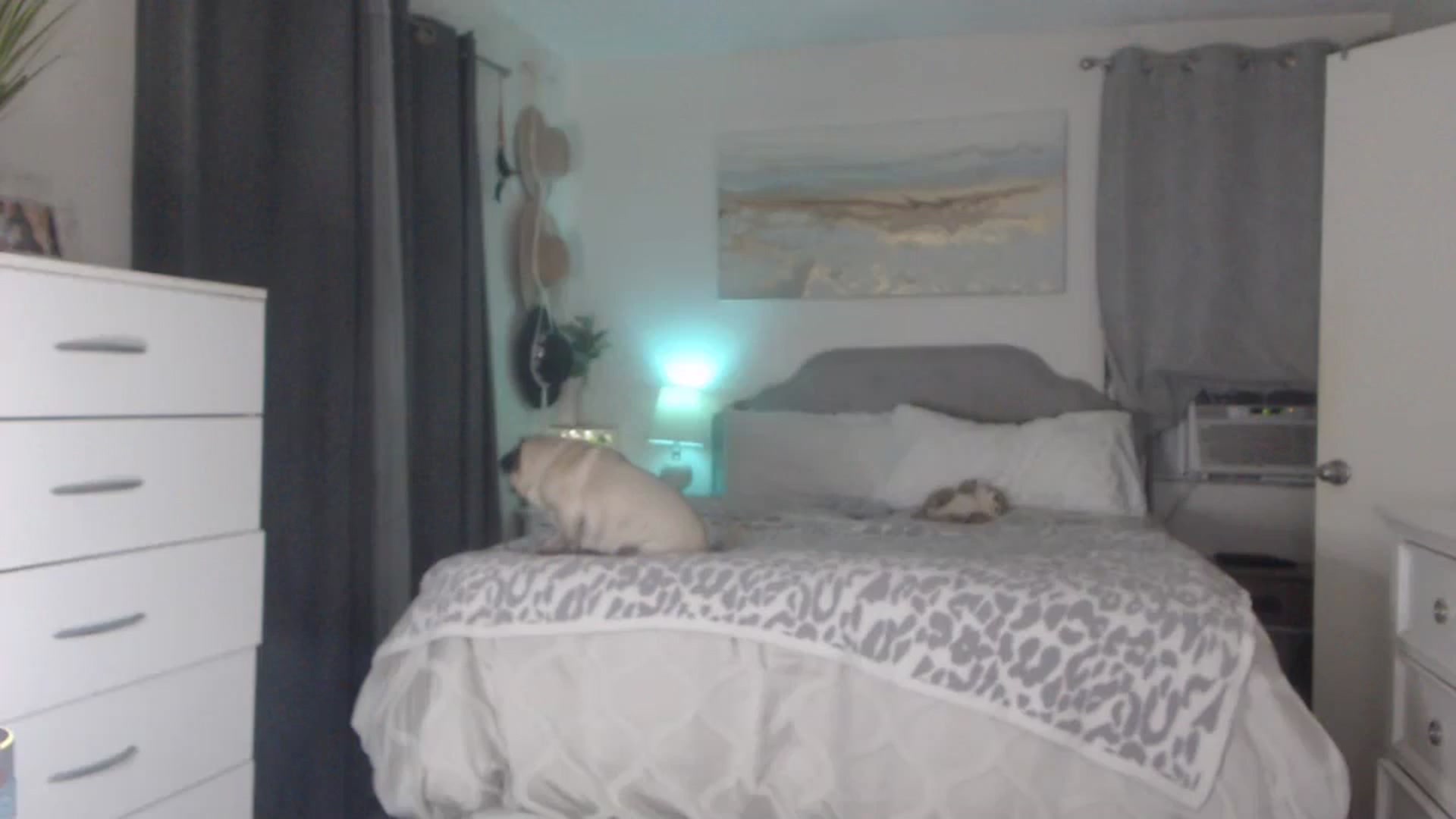 Gallery image thumbnail from Queen_bambii's myfreecams stream on, 08/27/2023, 04:44 image 13 of 20