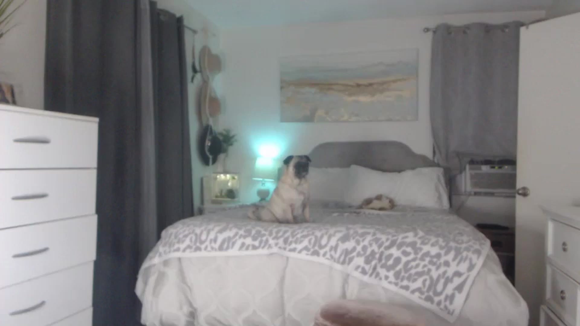 Gallery image thumbnail from Queen_bambii's myfreecams stream on, 08/27/2023, 06:09 image 15 of 20