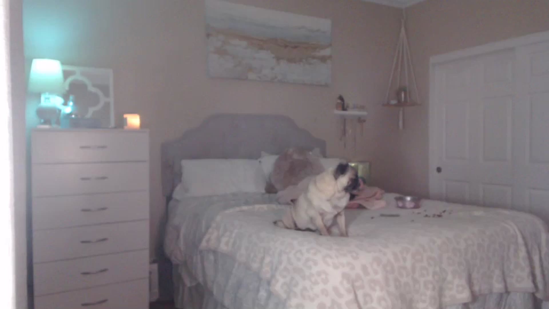 Gallery image thumbnail from Queen_bambii's myfreecams stream on, 10/05/2023, 08:24 image 12 of 20