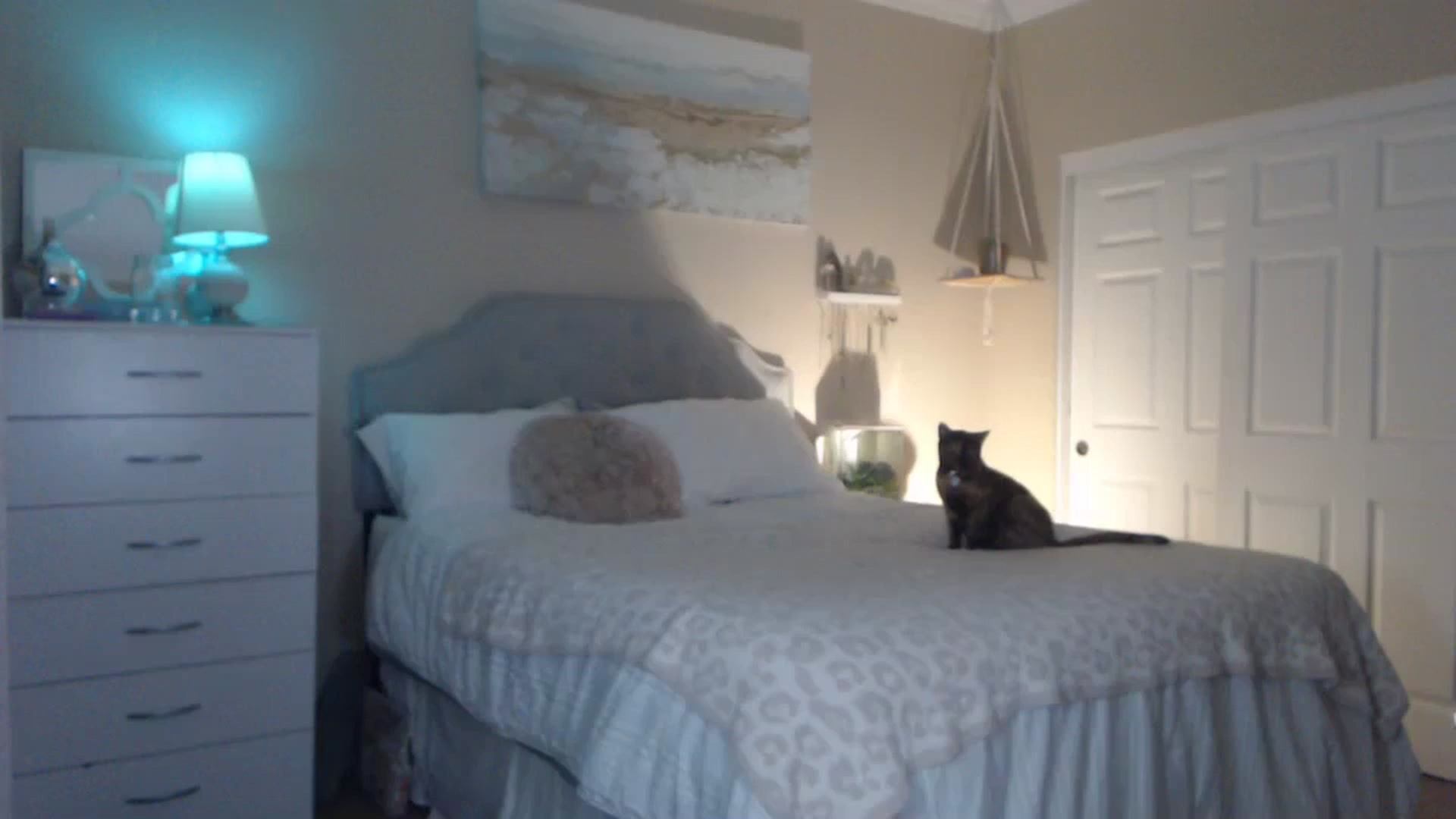 Gallery image thumbnail from Queen_bambii's myfreecams stream on, 10/21/2023, 05:57 image 15 of 20