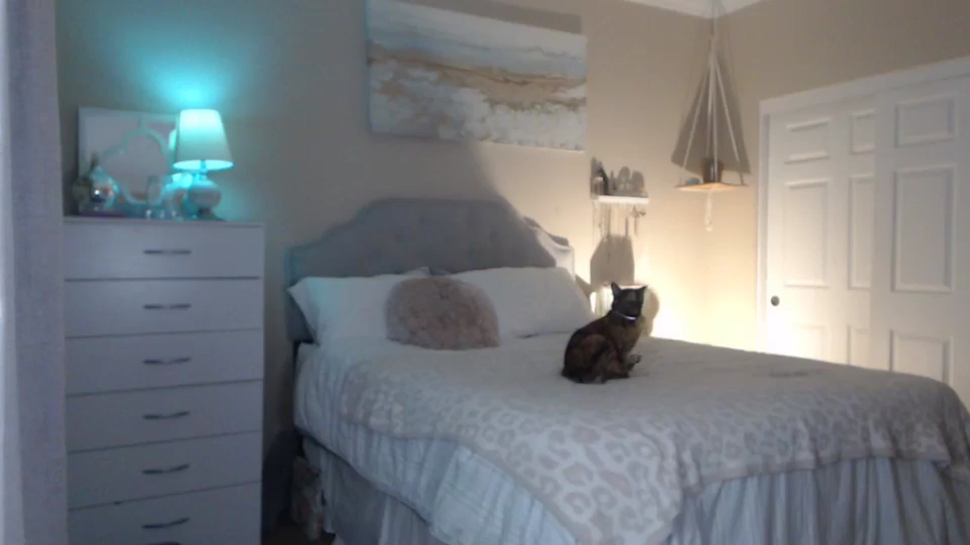 Gallery image thumbnail from Queen_bambii's myfreecams stream on, 10/21/2023, 08:25 image 2 of 20