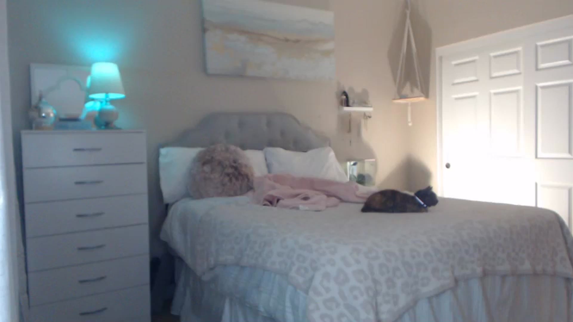 Gallery image thumbnail from Queen_bambii's myfreecams stream on, 10/27/2023, 04:03 image 13 of 20