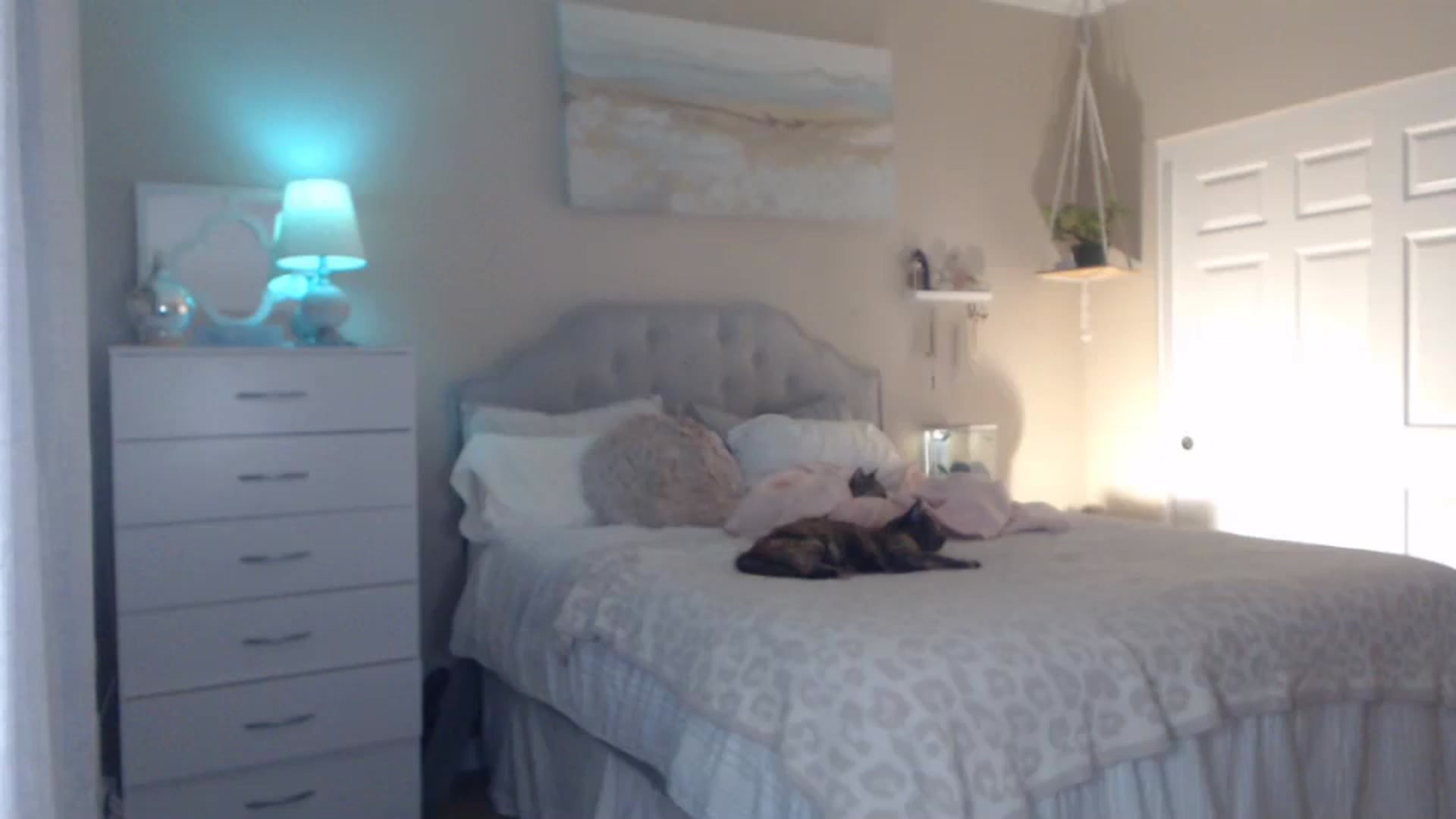 Gallery image thumbnail from Queen_bambii's myfreecams stream on, 11/04/2023, 07:27 image 11 of 20