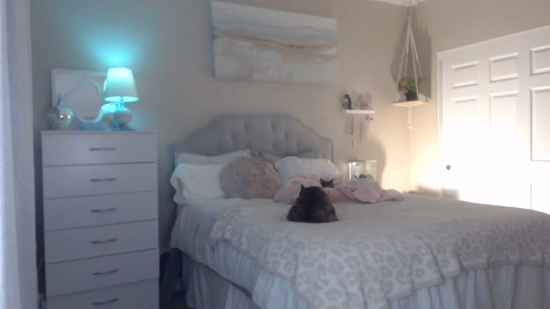 Gallery image thumbnail from Queen_bambii's myfreecams stream on, 11/04/2023, 07:27 image 12 of 20