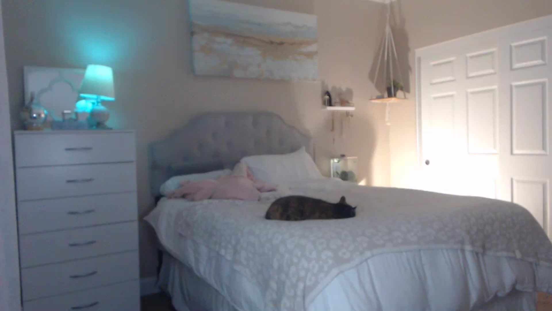 Gallery image thumbnail from Queen_bambii's myfreecams stream on, 11/14/2023, 05:40 image 10 of 20