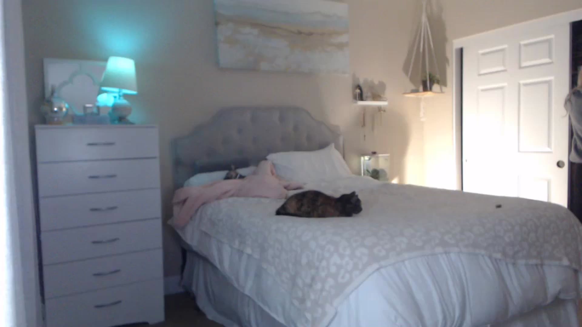 Gallery image thumbnail from Queen_bambii's myfreecams stream on, 11/14/2023, 06:22 image 1 of 20