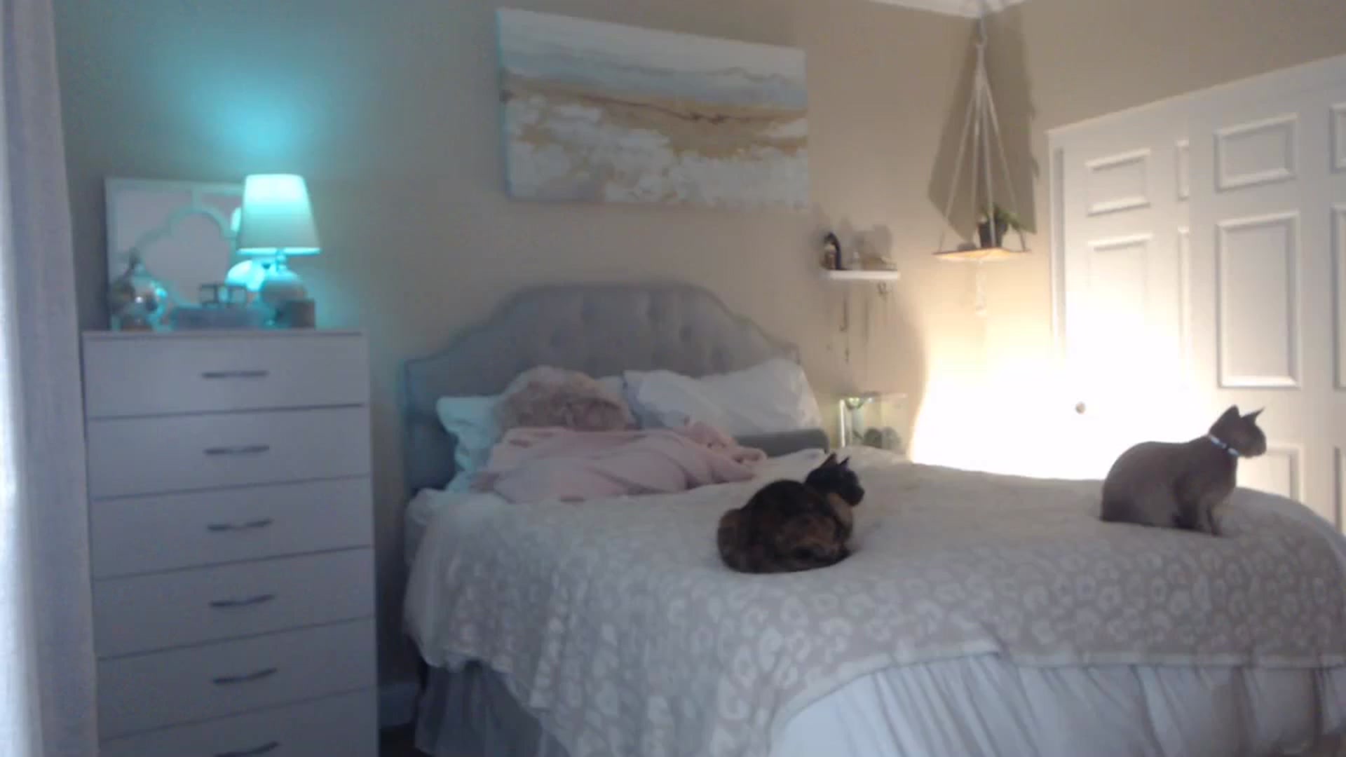 Gallery image thumbnail from Queen_bambii's myfreecams stream on, 11/26/2023, 08:05 image 18 of 20