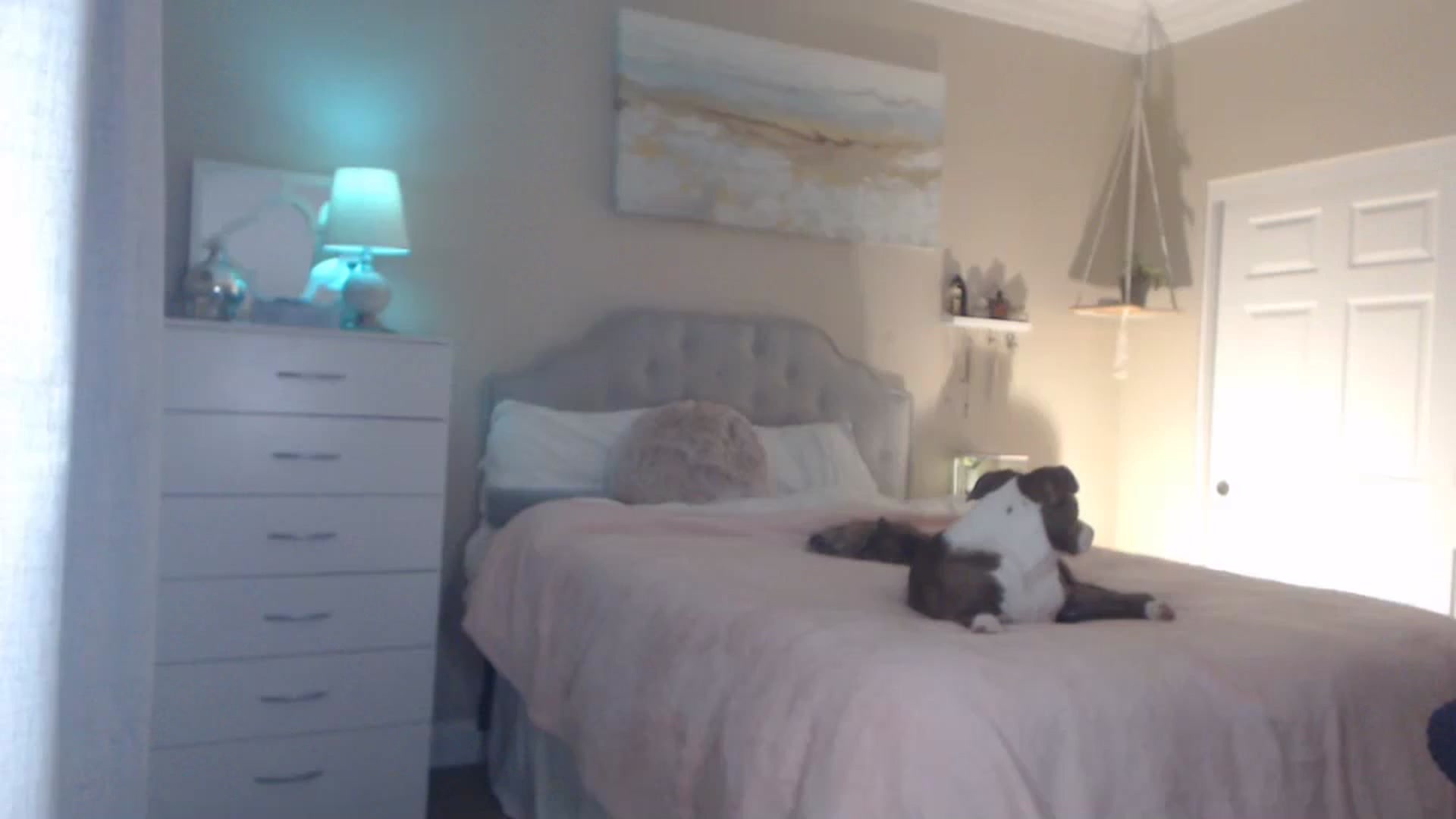 Gallery image thumbnail from Queen_bambii's myfreecams stream on, 11/29/2023, 06:06 image 20 of 20