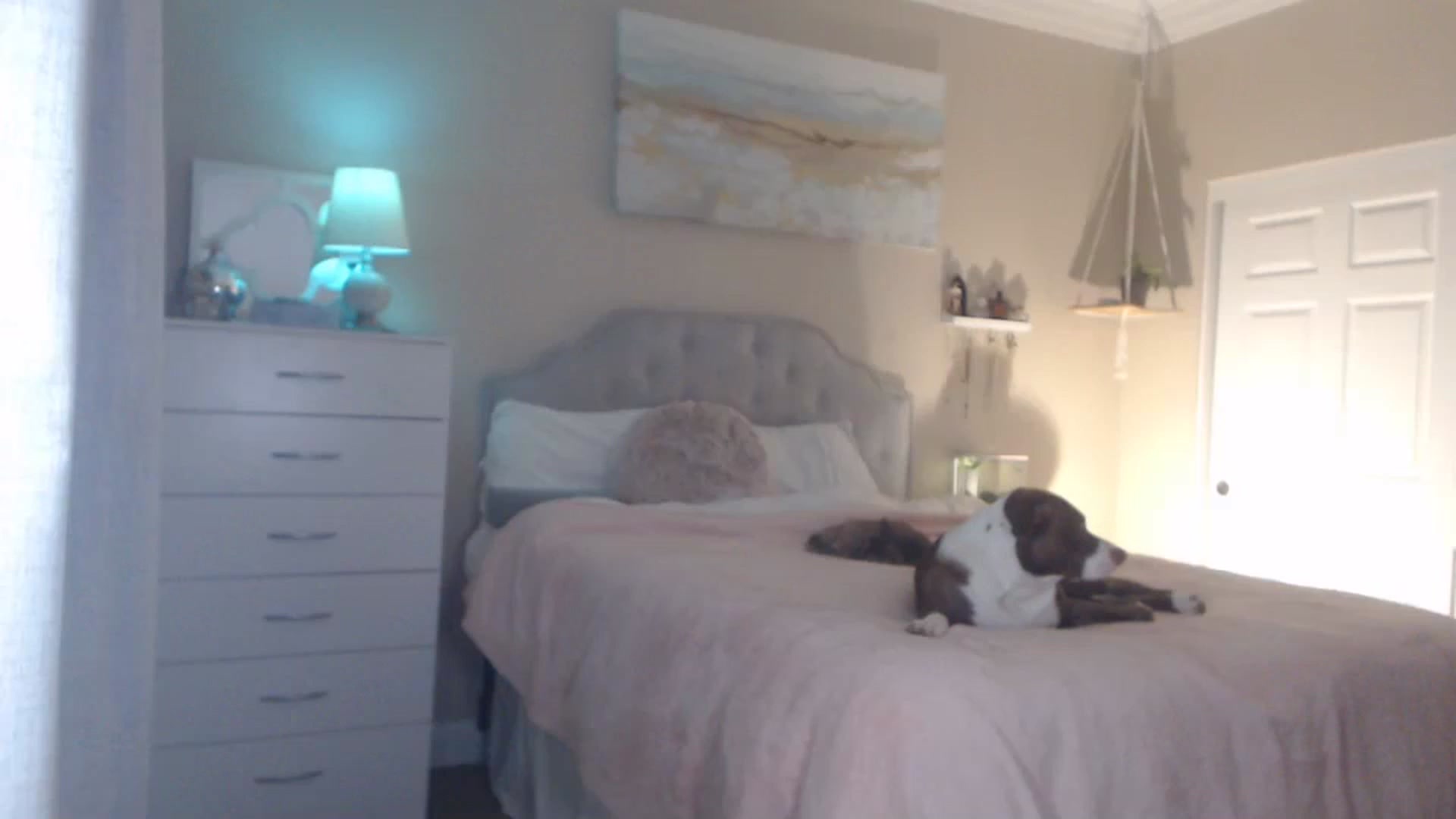Gallery image thumbnail from Queen_bambii's myfreecams stream on, 11/29/2023, 06:06 image 12 of 20
