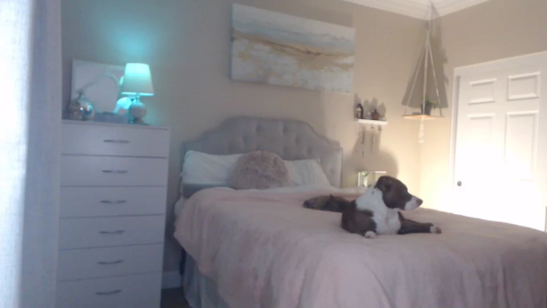 Gallery image thumbnail from Queen_bambii's myfreecams stream on, 11/29/2023, 06:06 image 19 of 20