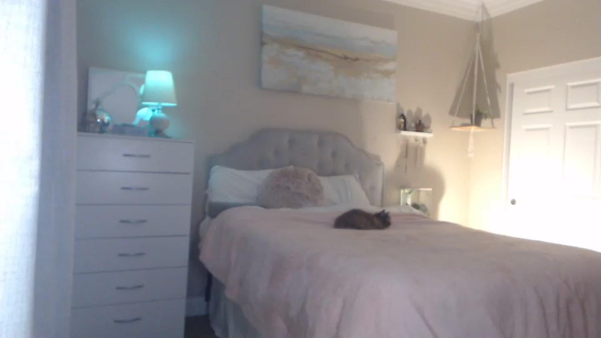 Gallery image thumbnail from Queen_bambii's myfreecams stream on, 11/29/2023, 07:18 image 8 of 20