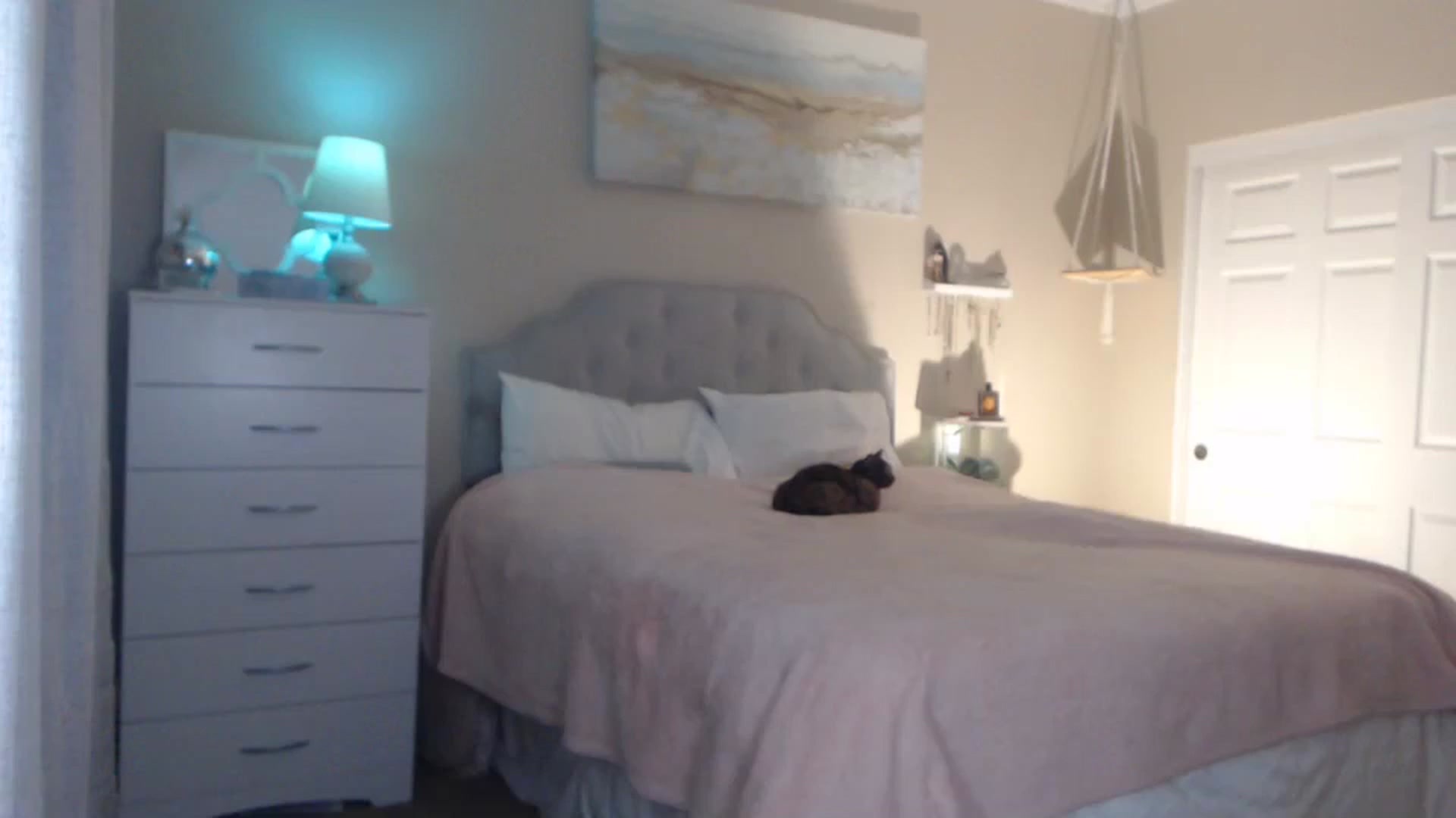 Gallery image thumbnail from Queen_bambii's myfreecams stream on, 12/09/2023, 06:42 image 17 of 20