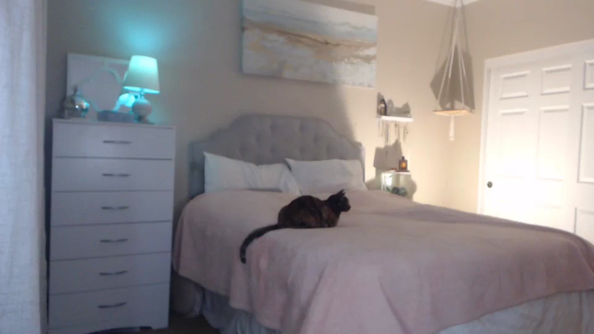 Gallery image thumbnail from Queen_bambii's myfreecams stream on, 12/09/2023, 06:42 image 12 of 20