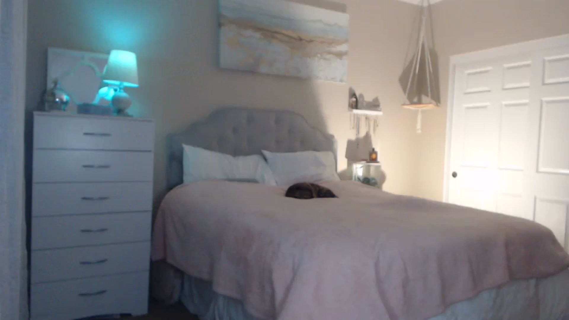 Gallery image thumbnail from Queen_bambii's myfreecams stream on, 12/09/2023, 09:35 image 3 of 20