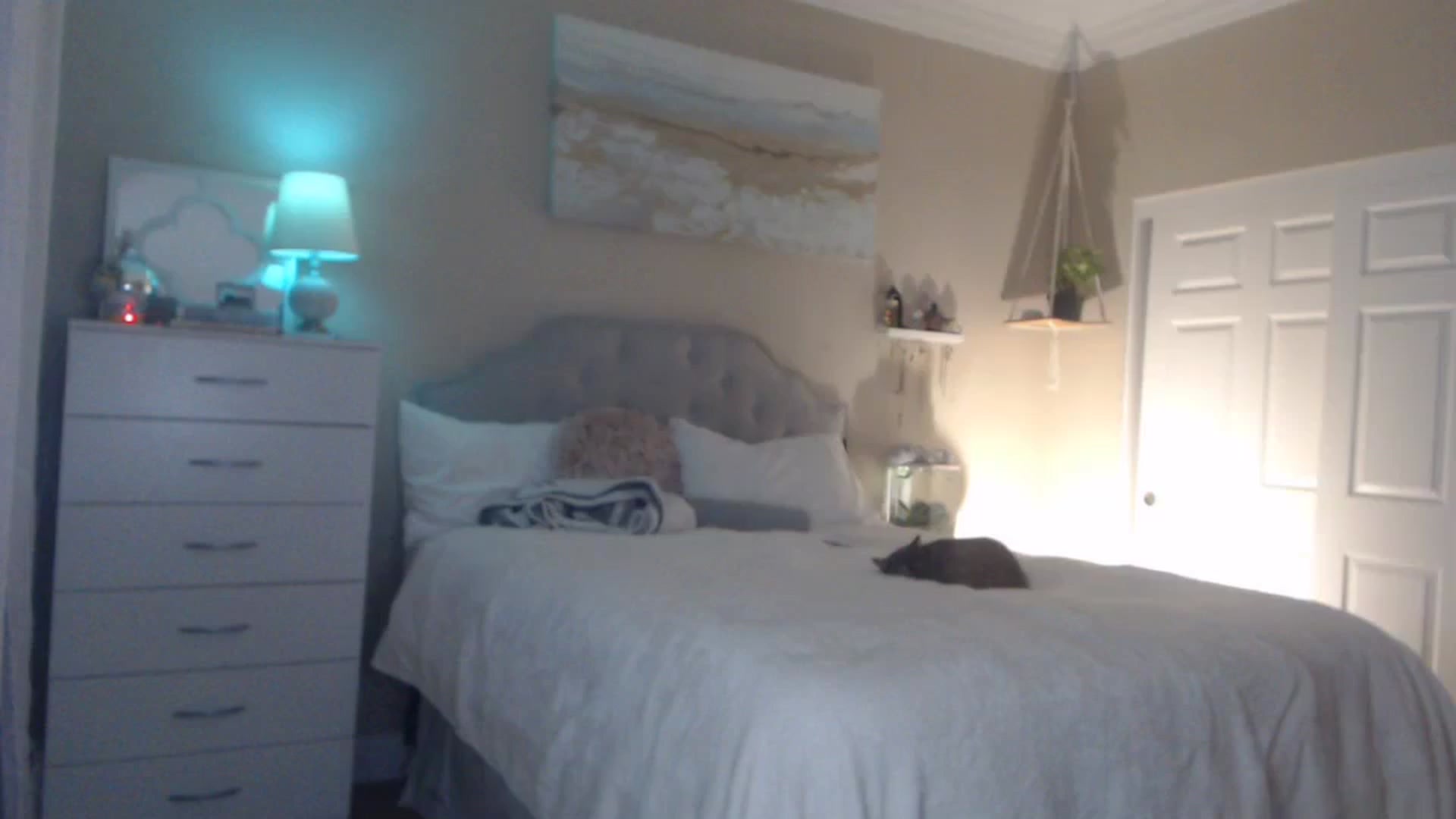 Gallery image thumbnail from Queen_bambii's myfreecams stream on, 12/19/2023, 08:57 image 1 of 20