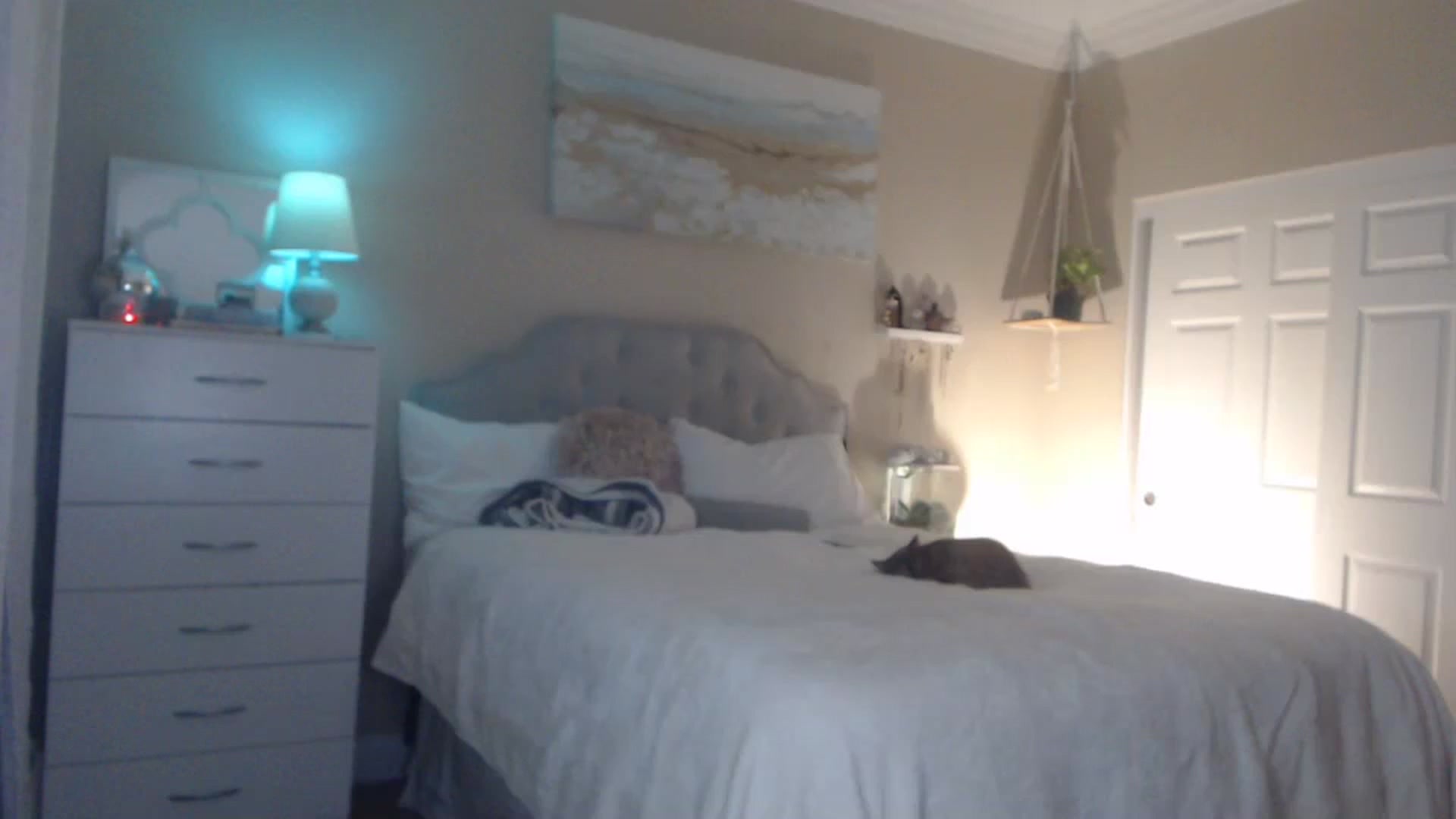 Gallery image thumbnail from Queen_bambii's myfreecams stream on, 12/19/2023, 08:57 image 2 of 20