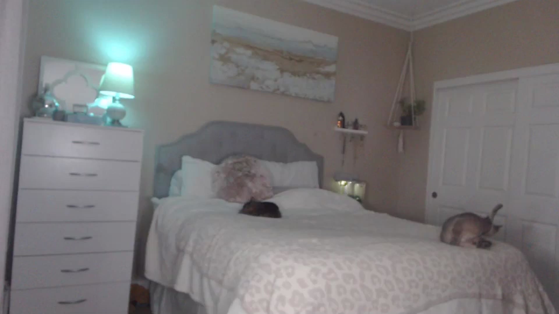 Gallery image thumbnail from Queen_bambii's myfreecams stream on, 01/03/2024, 09:09 image 2 of 20