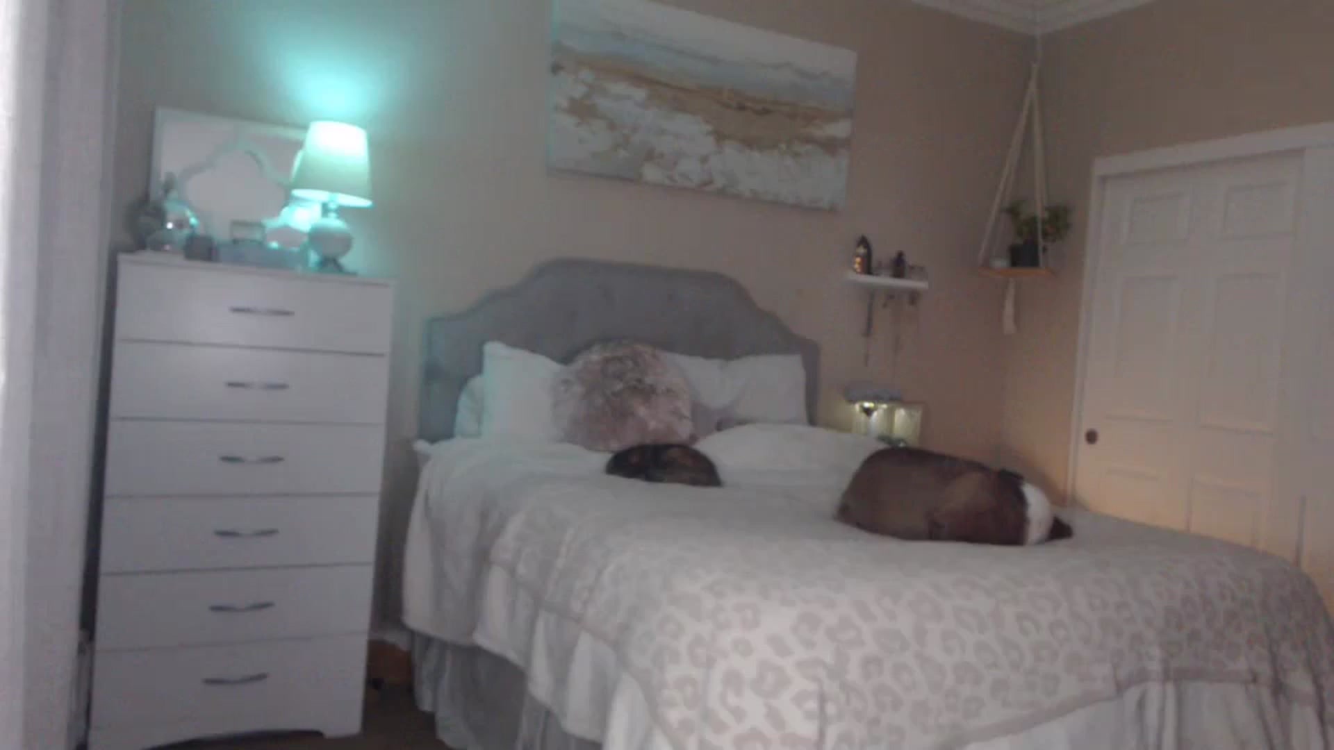 Gallery image thumbnail from Queen_bambii's myfreecams stream on, 01/03/2024, 09:09 image 18 of 20