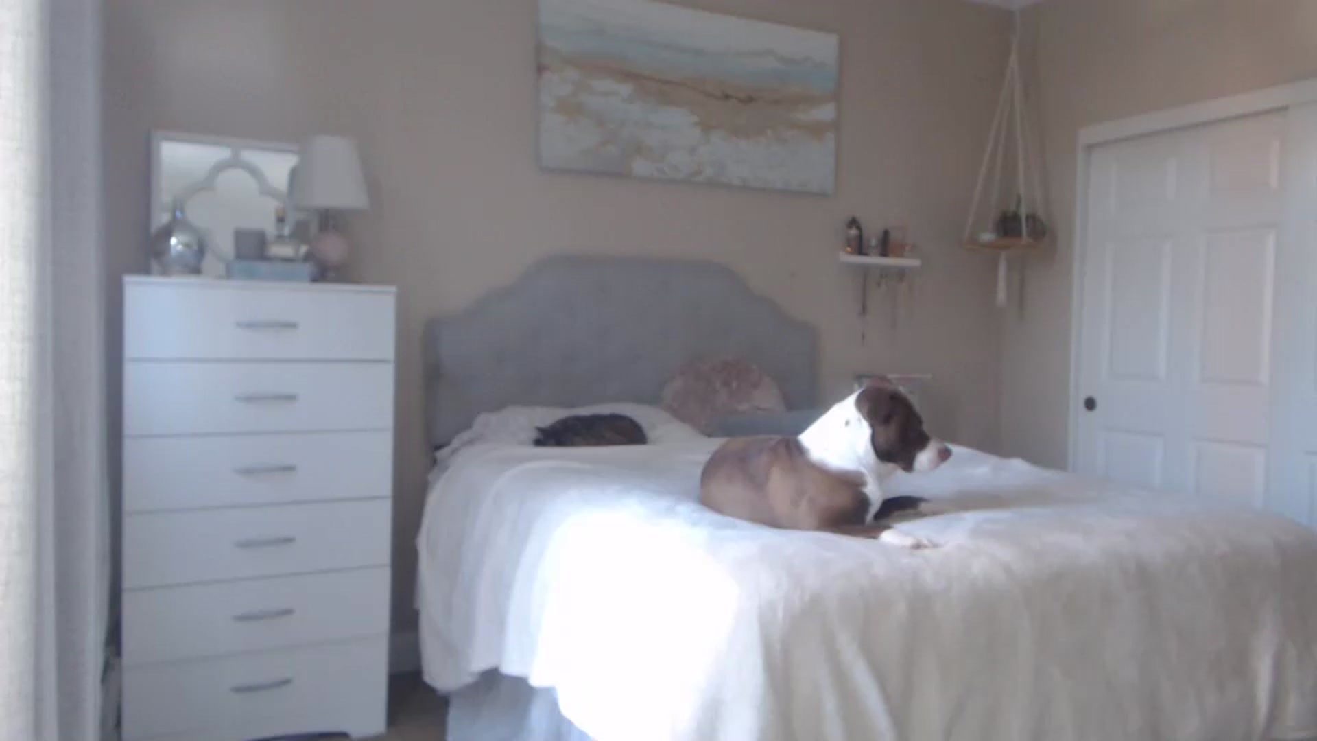 Gallery image thumbnail from Queen_bambii's myfreecams stream on, 01/16/2024, 22:06 image 19 of 20