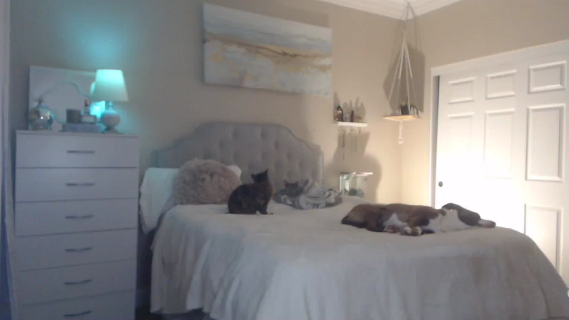 Gallery image thumbnail from Queen_bambii's myfreecams stream on, 01/17/2024, 06:01 image 18 of 20