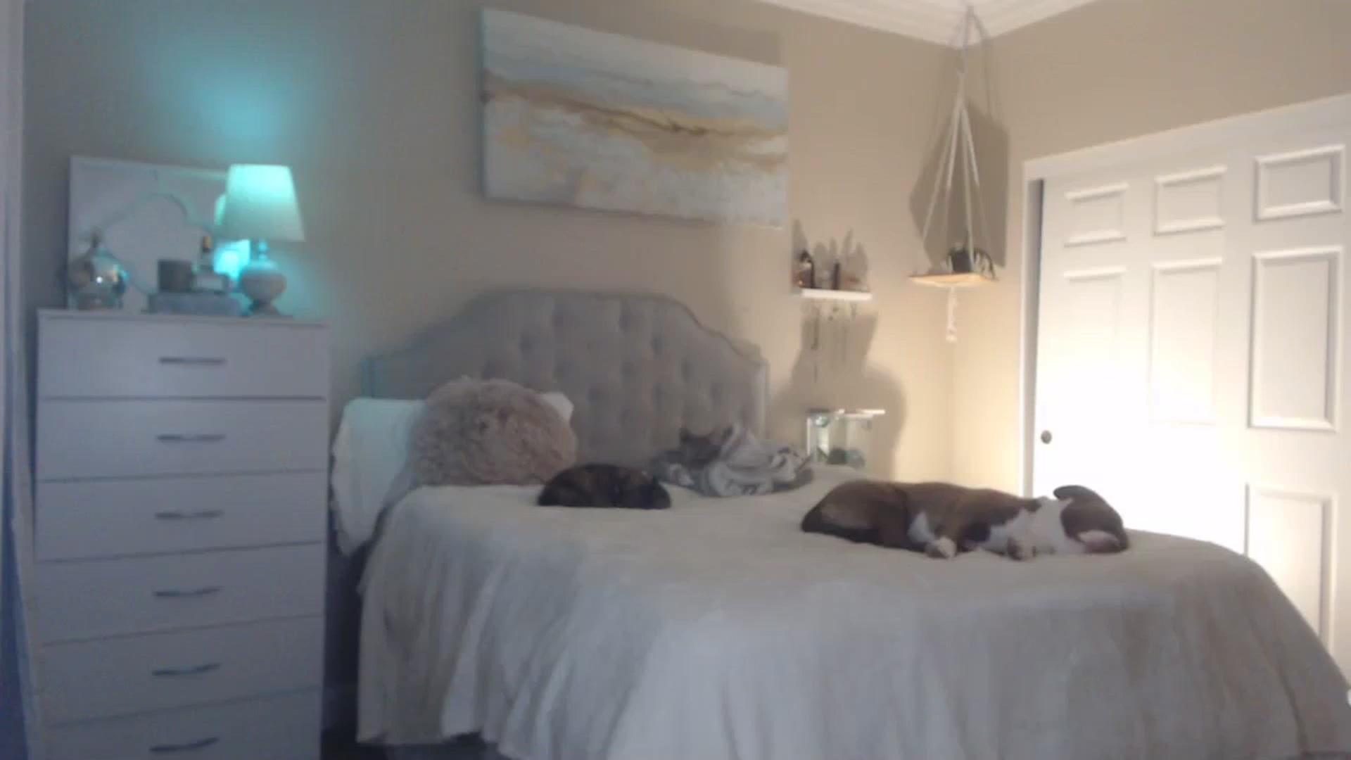 Gallery image thumbnail from Queen_bambii's myfreecams stream on, 01/17/2024, 06:01 image 17 of 20