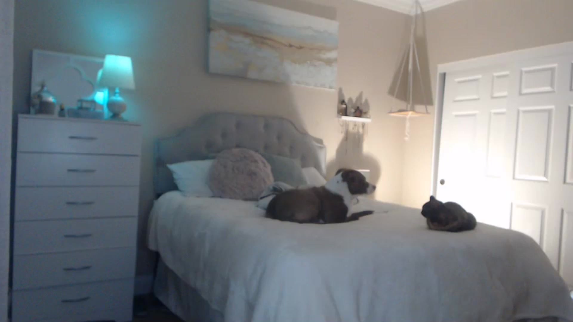 Gallery image thumbnail from Queen_bambii's myfreecams stream on, 01/25/2024, 07:20 image 16 of 20