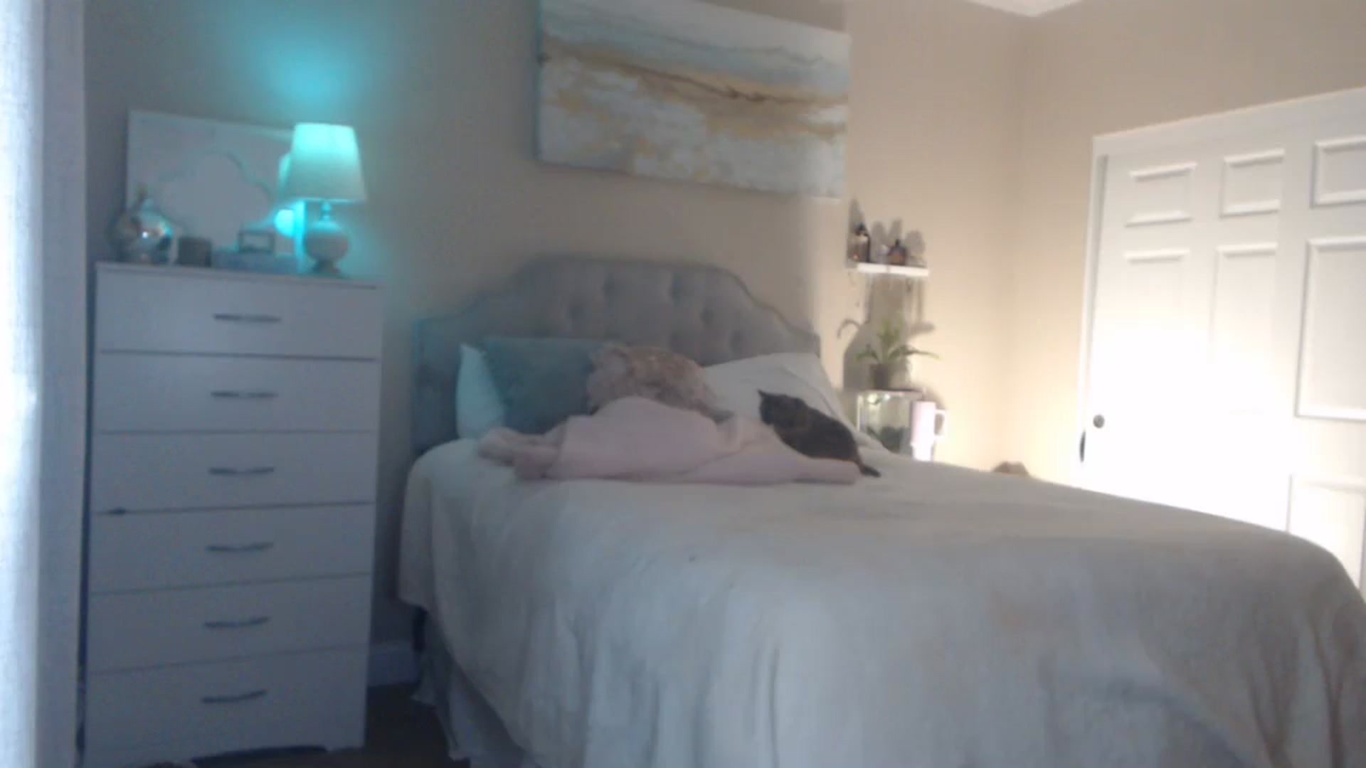 Gallery image thumbnail from Queen_bambii's myfreecams stream on, 02/08/2024, 05:13 image 15 of 20