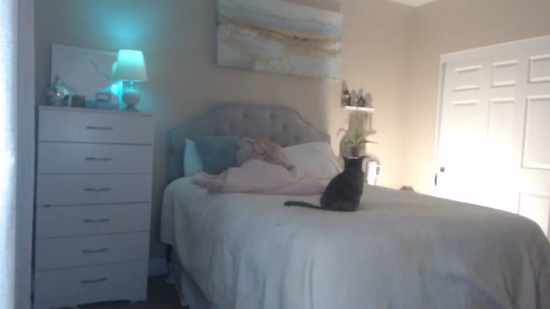 Gallery image thumbnail from Queen_bambii's myfreecams stream on, 02/08/2024, 05:13 image 14 of 20