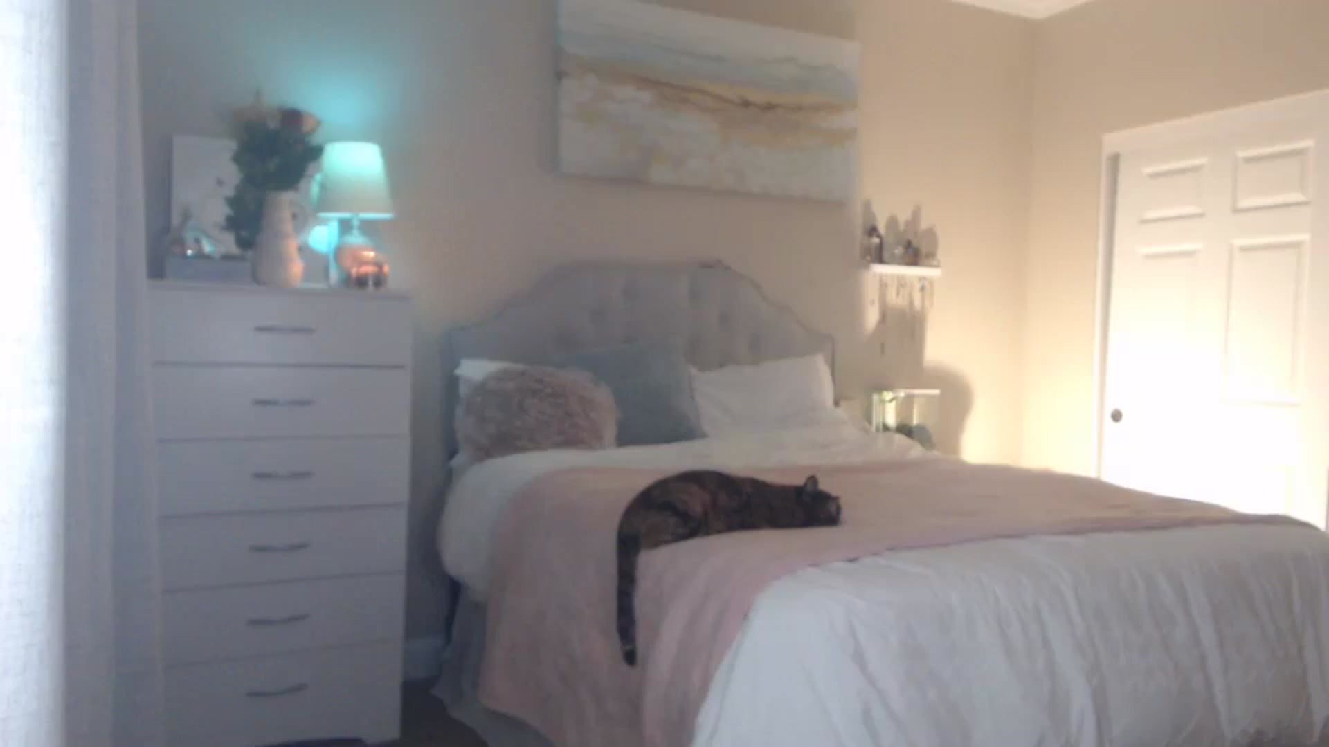 Gallery image thumbnail from Queen_bambii's myfreecams stream on, 02/15/2024, 06:38 image 10 of 20