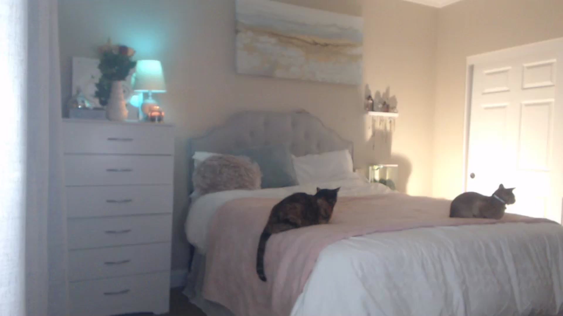 Gallery image thumbnail from Queen_bambii's myfreecams stream on, 02/15/2024, 06:38 image 3 of 20