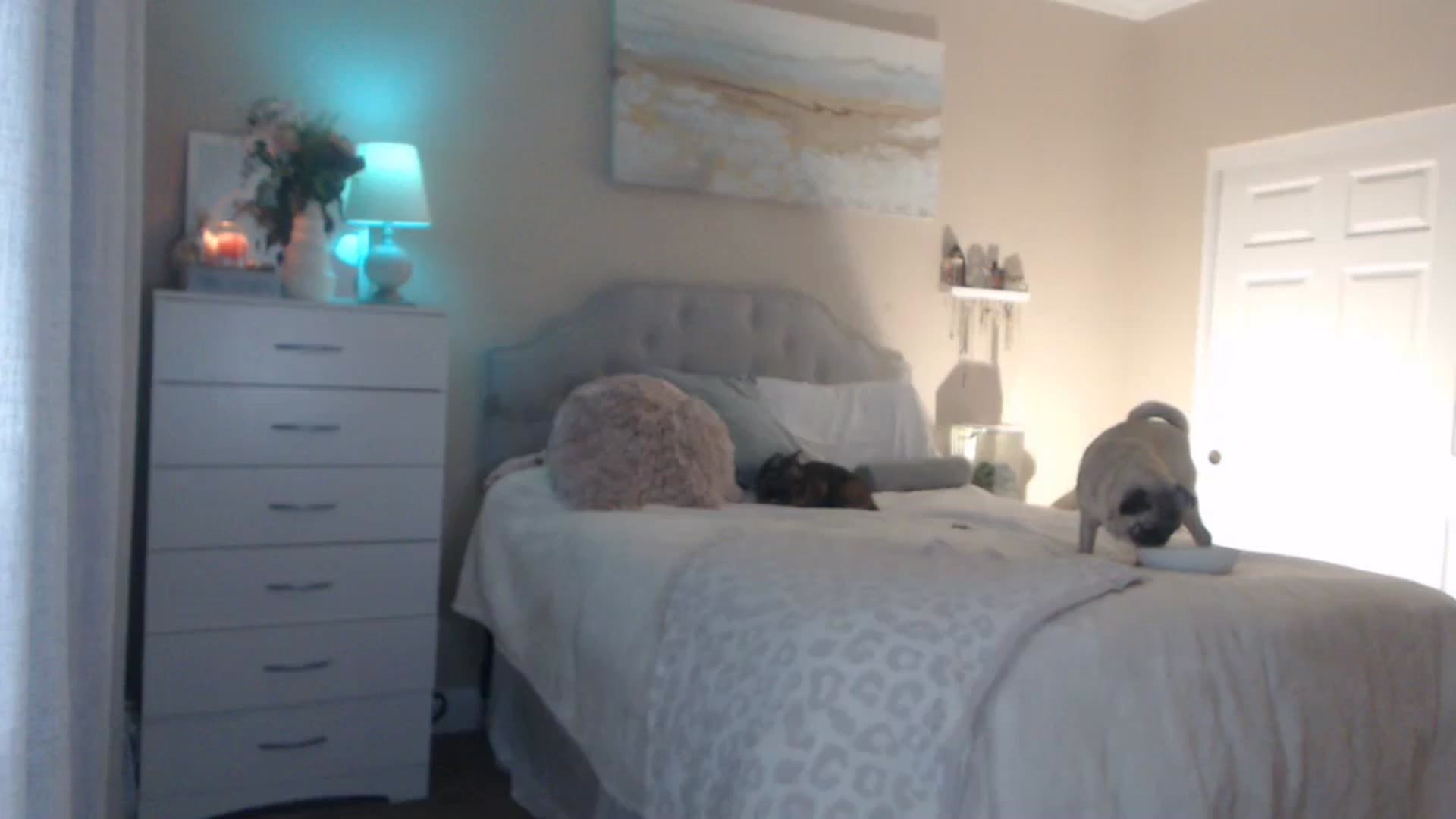 Gallery image thumbnail from Queen_bambii's myfreecams stream on, 02/23/2024, 05:38 image 4 of 20