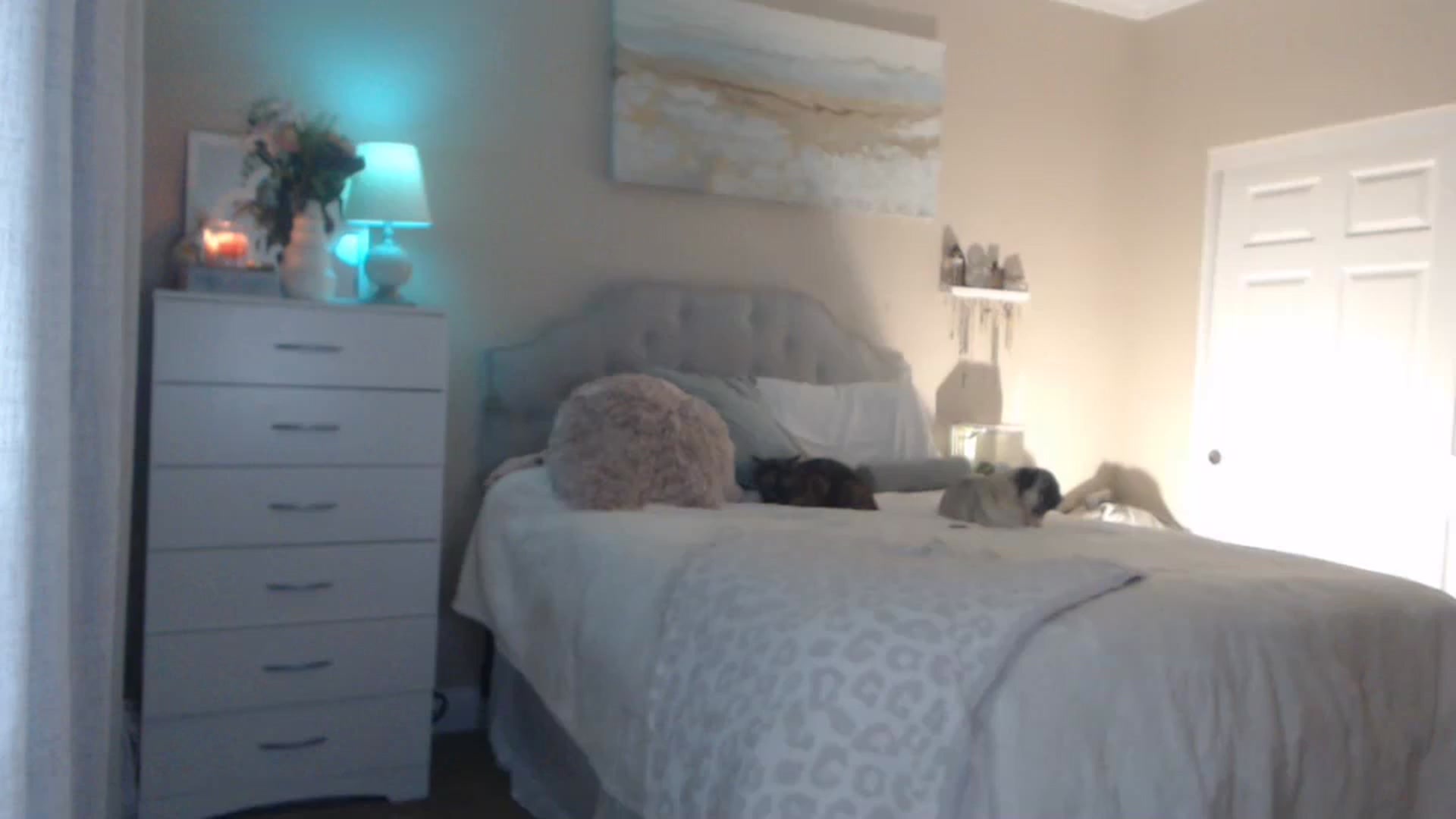 Gallery image thumbnail from Queen_bambii's myfreecams stream on, 02/23/2024, 05:38 image 1 of 20